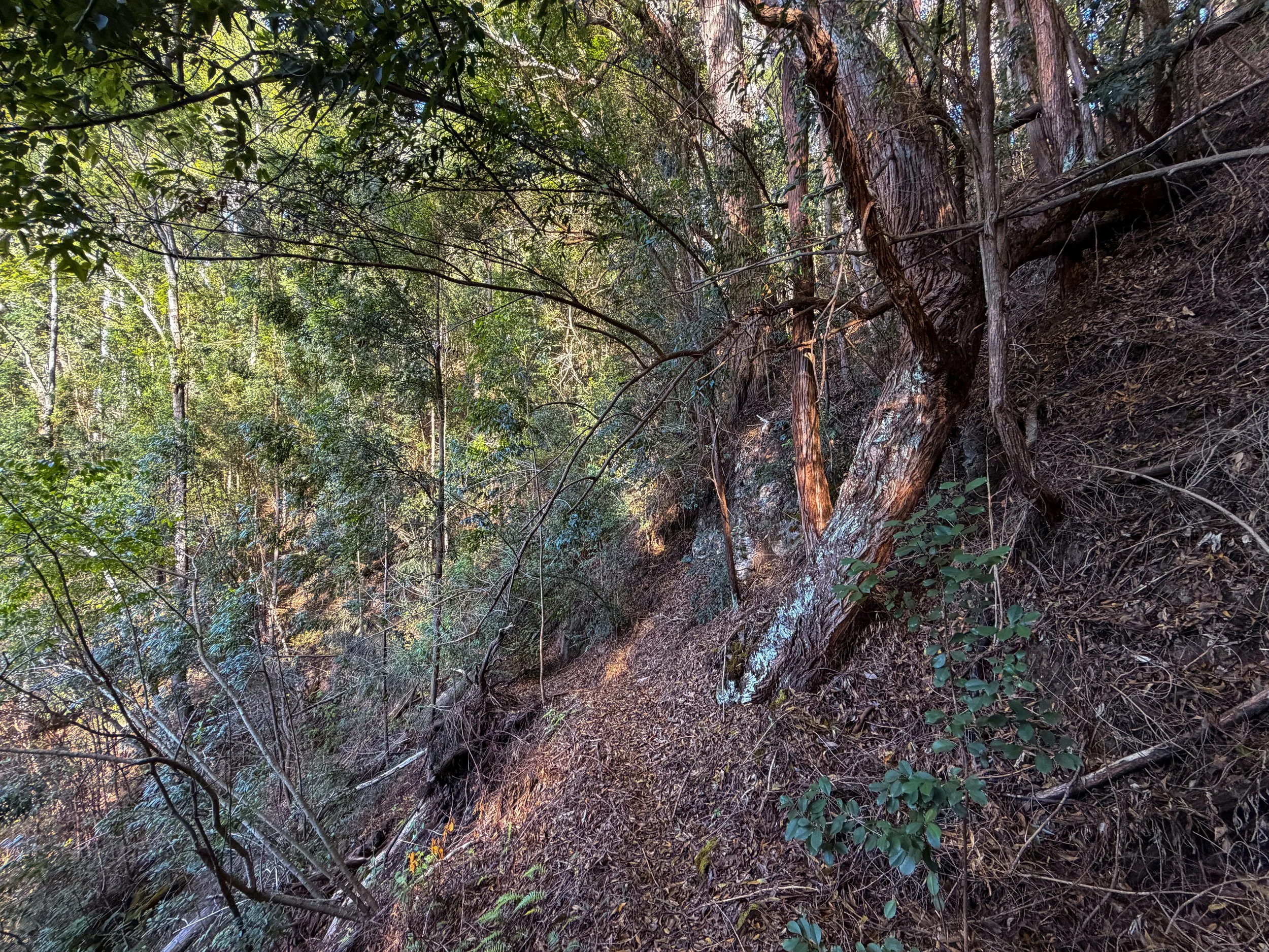 Mokuleia Trail Oahu Hawaii