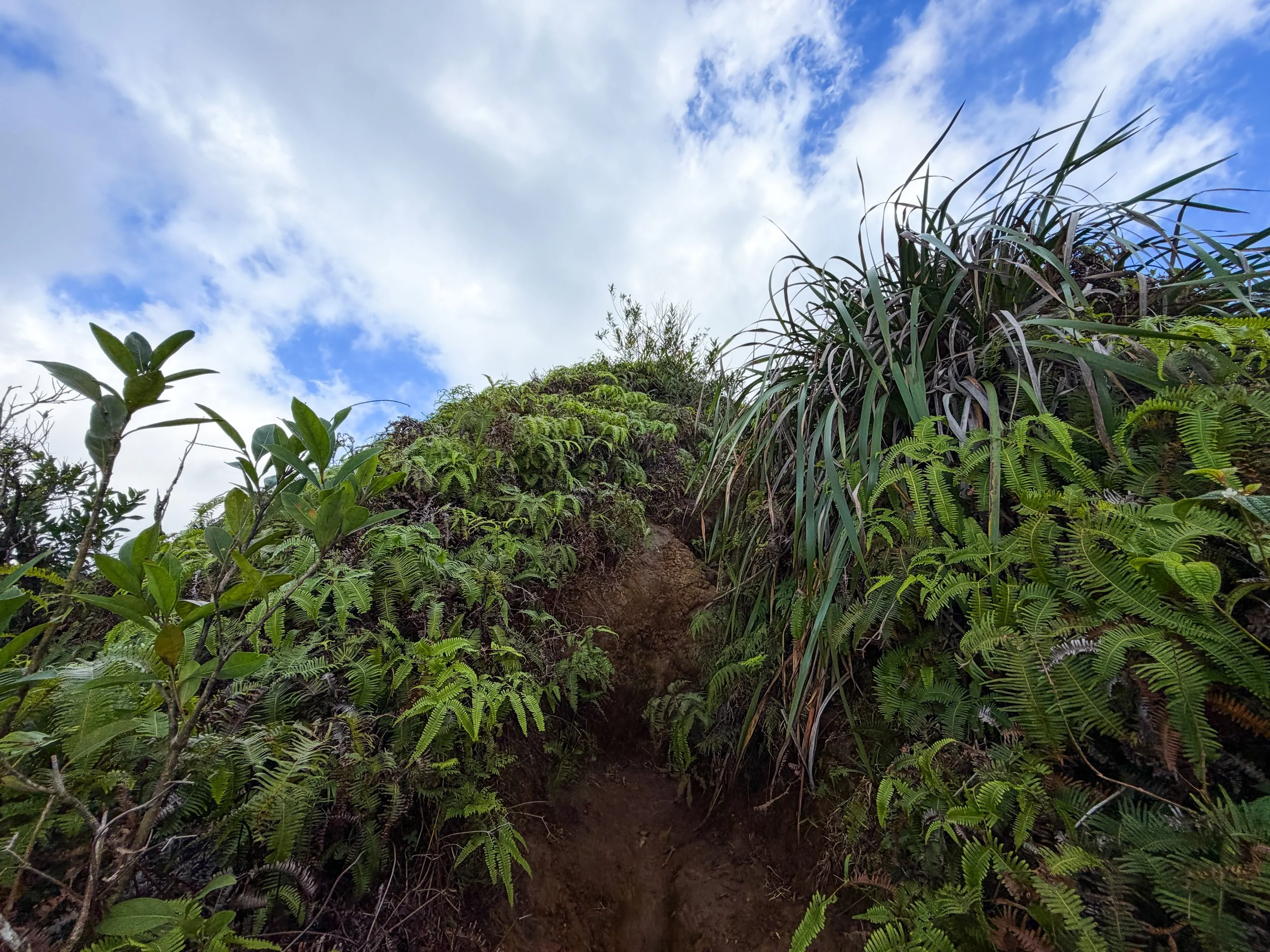 Kaau Crater Trail Oahu Hawaii