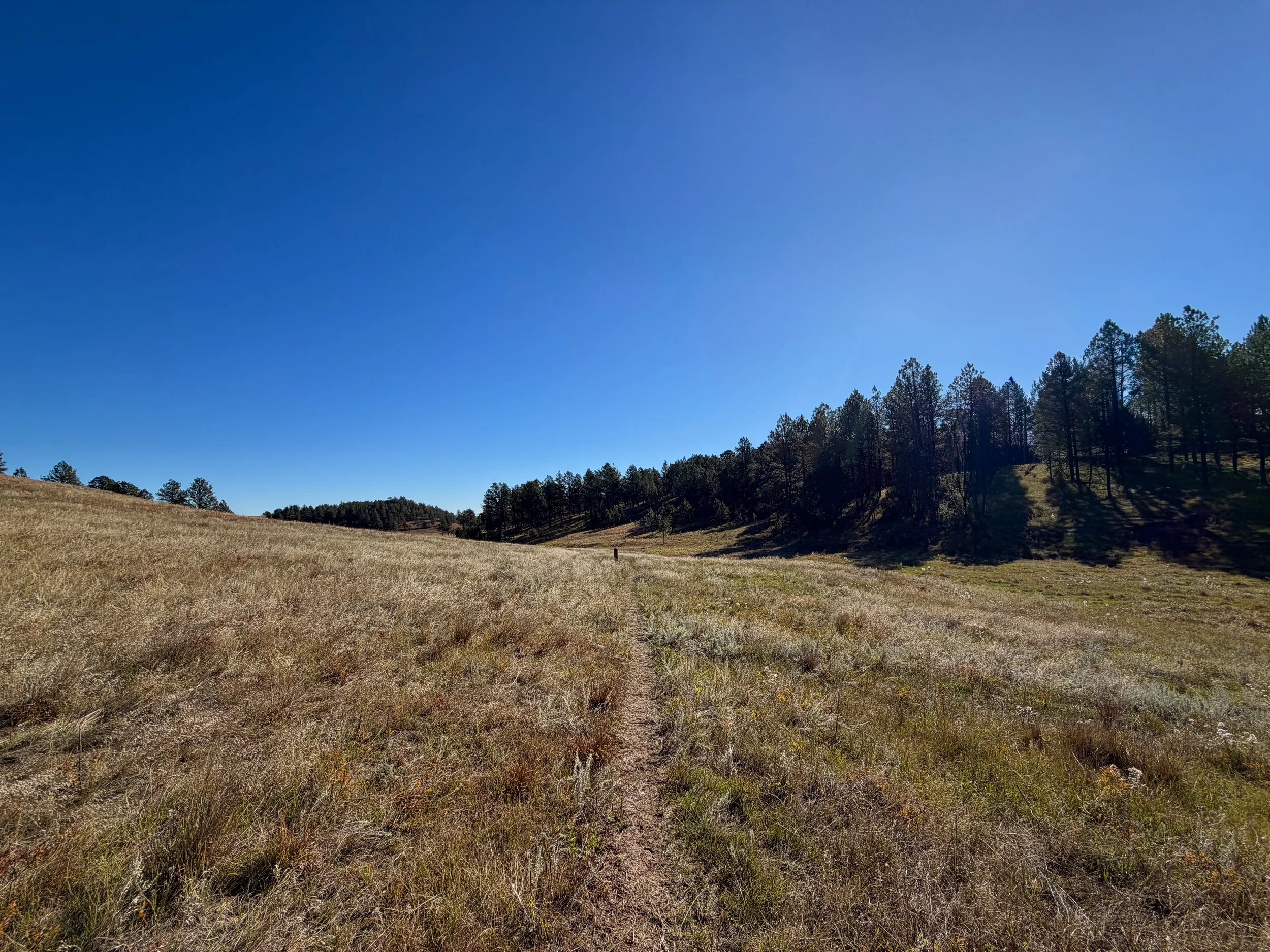 Sanctuary Trail Wind Cave National Park South Dakota