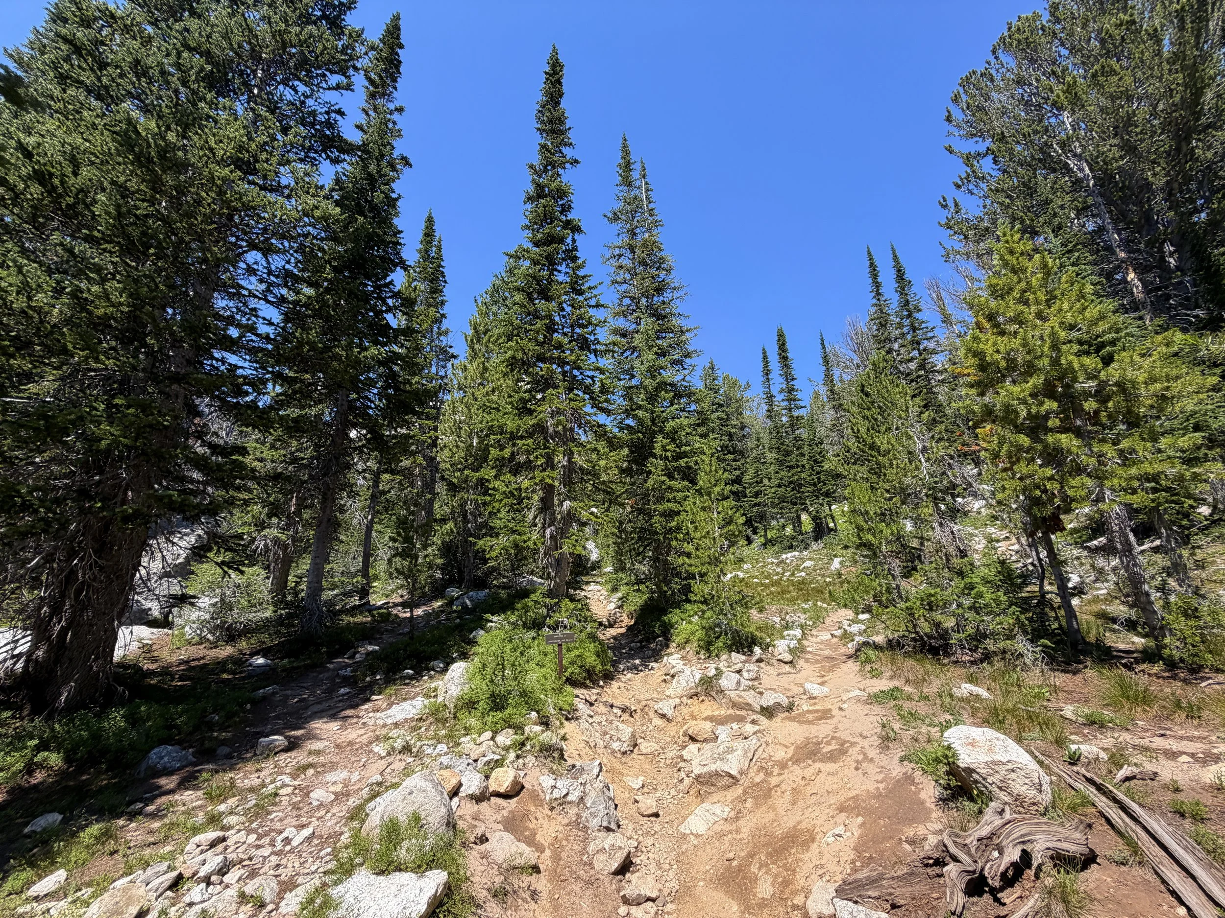 Surprise & Amphitheater Lakes Trail Grand Teton National Park Wyoming
