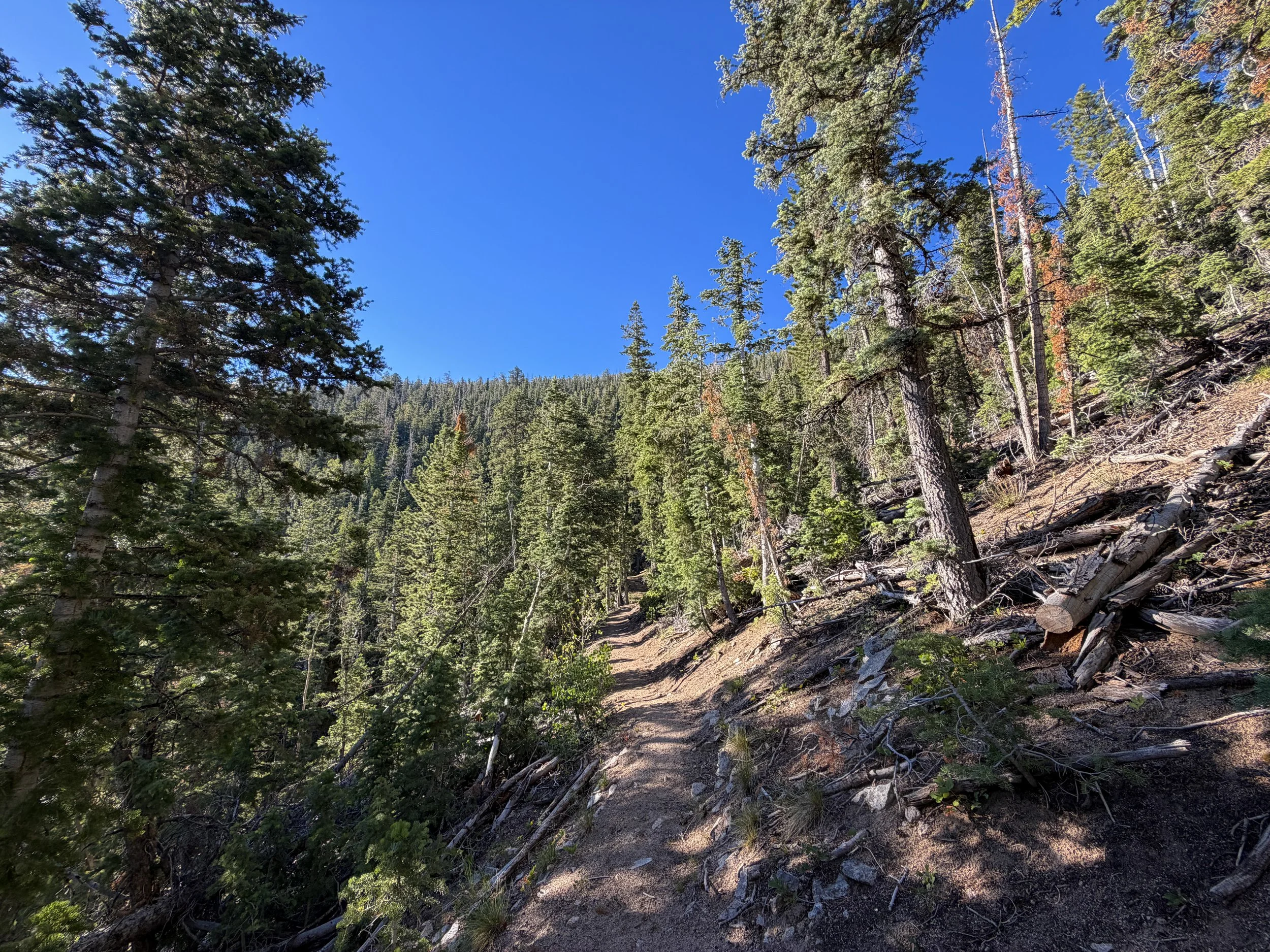 Snake Divide Trail Great Basin National Park Nevada