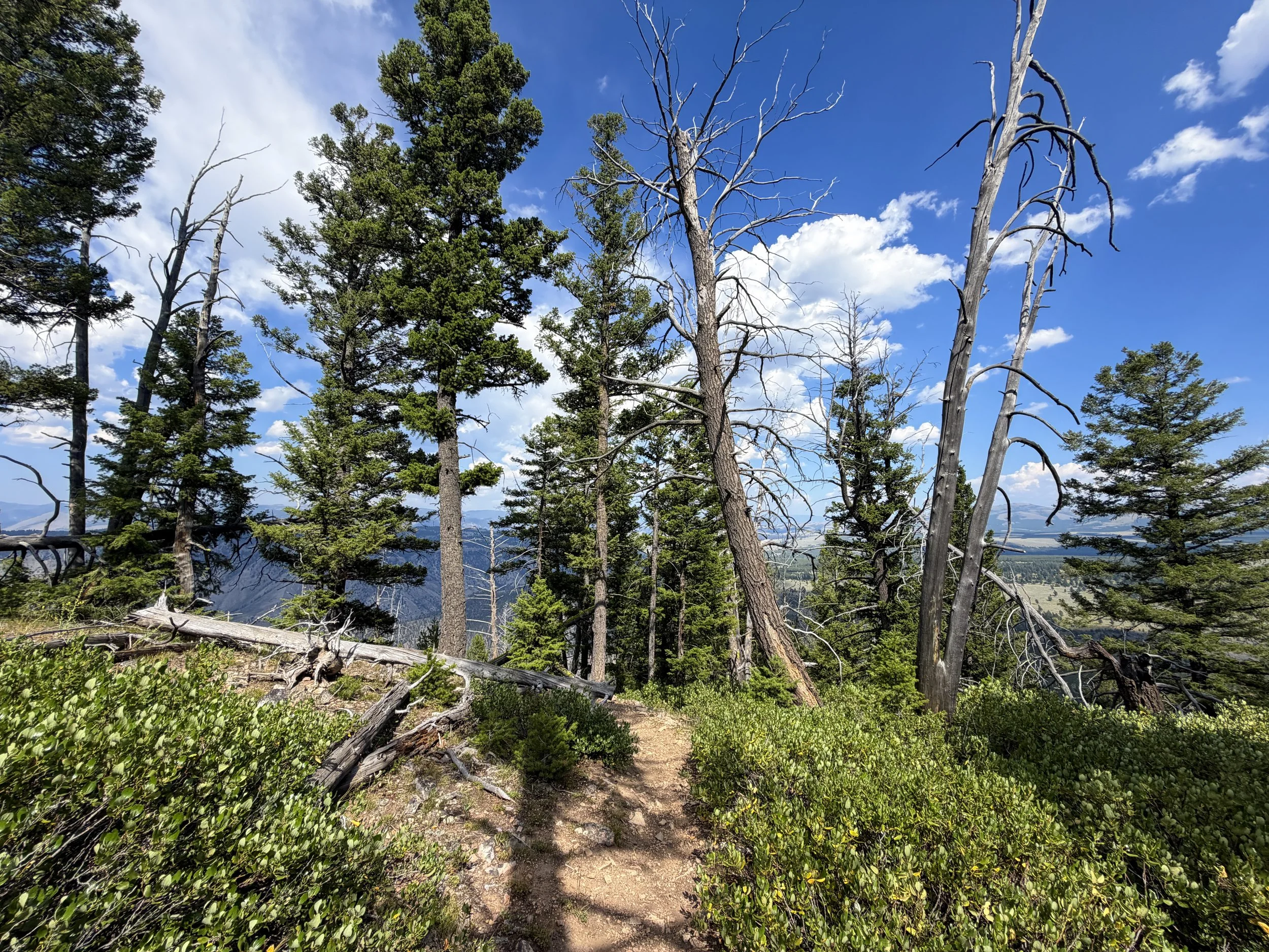 Bunsen Peak Trail Yellowstone National Park Wyoming