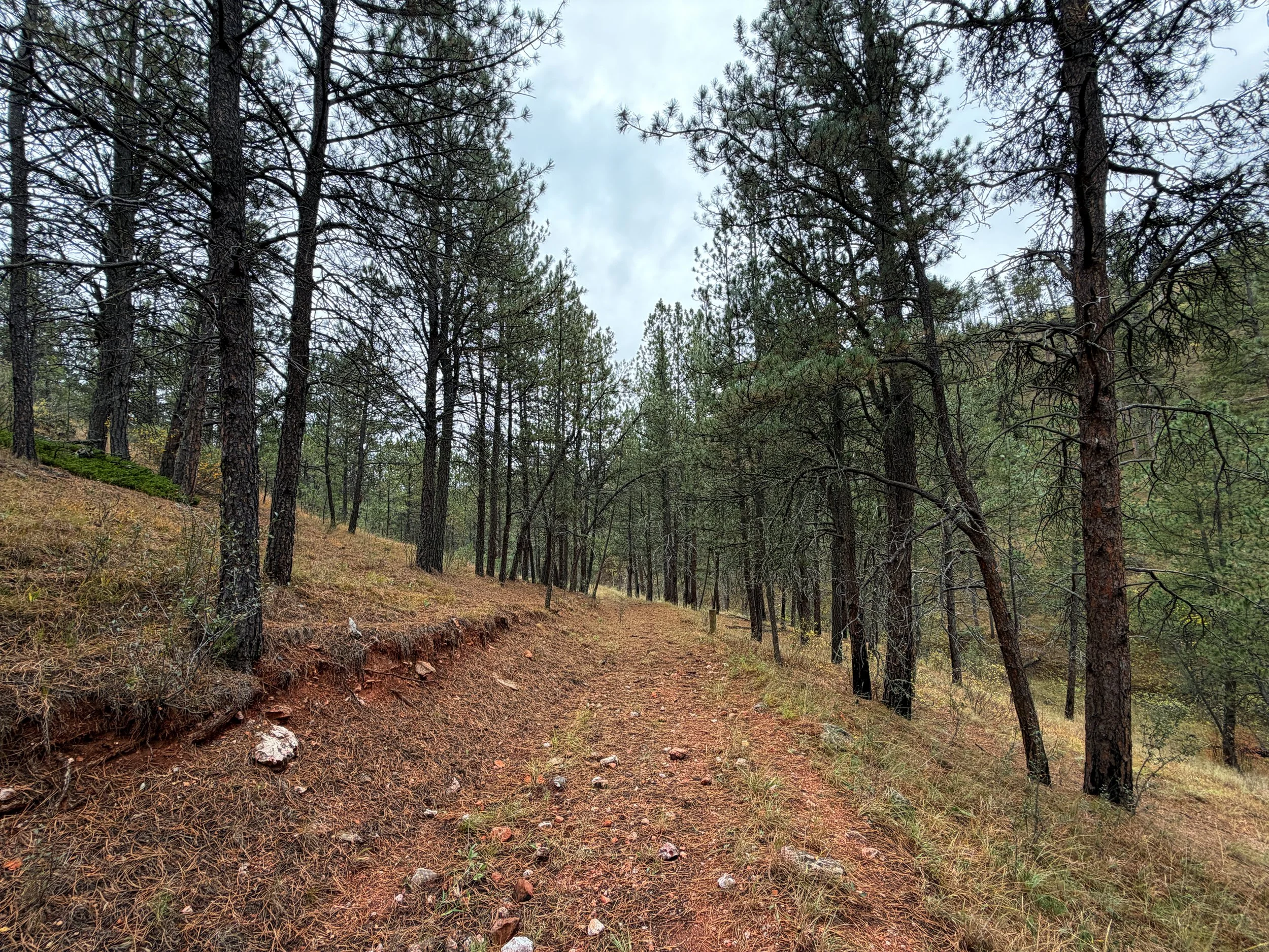 Highland Creek Trail Wind Cave National Park South Dakota