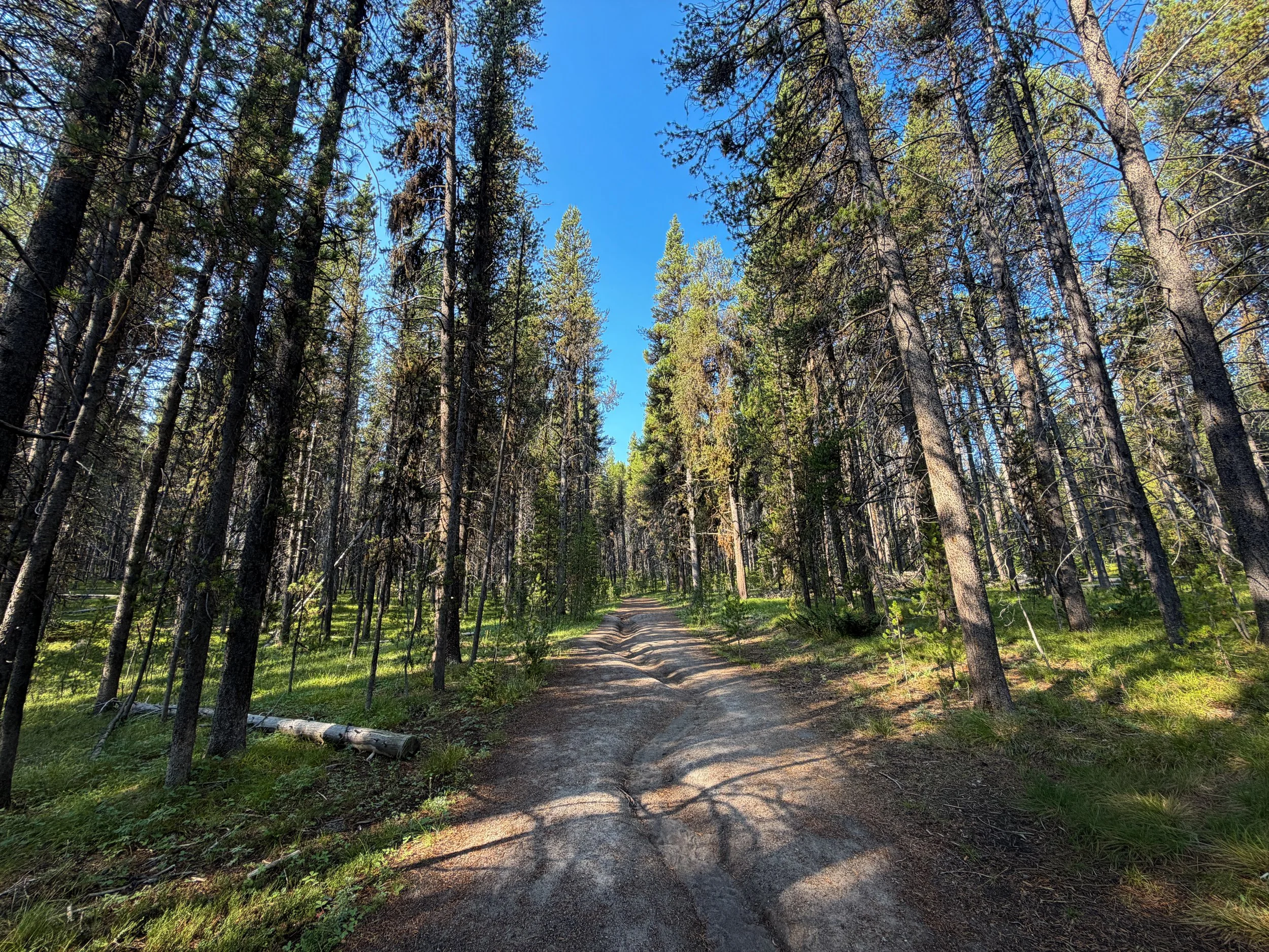 Natural Bridge Trail Yellowstone National Park Wyoming