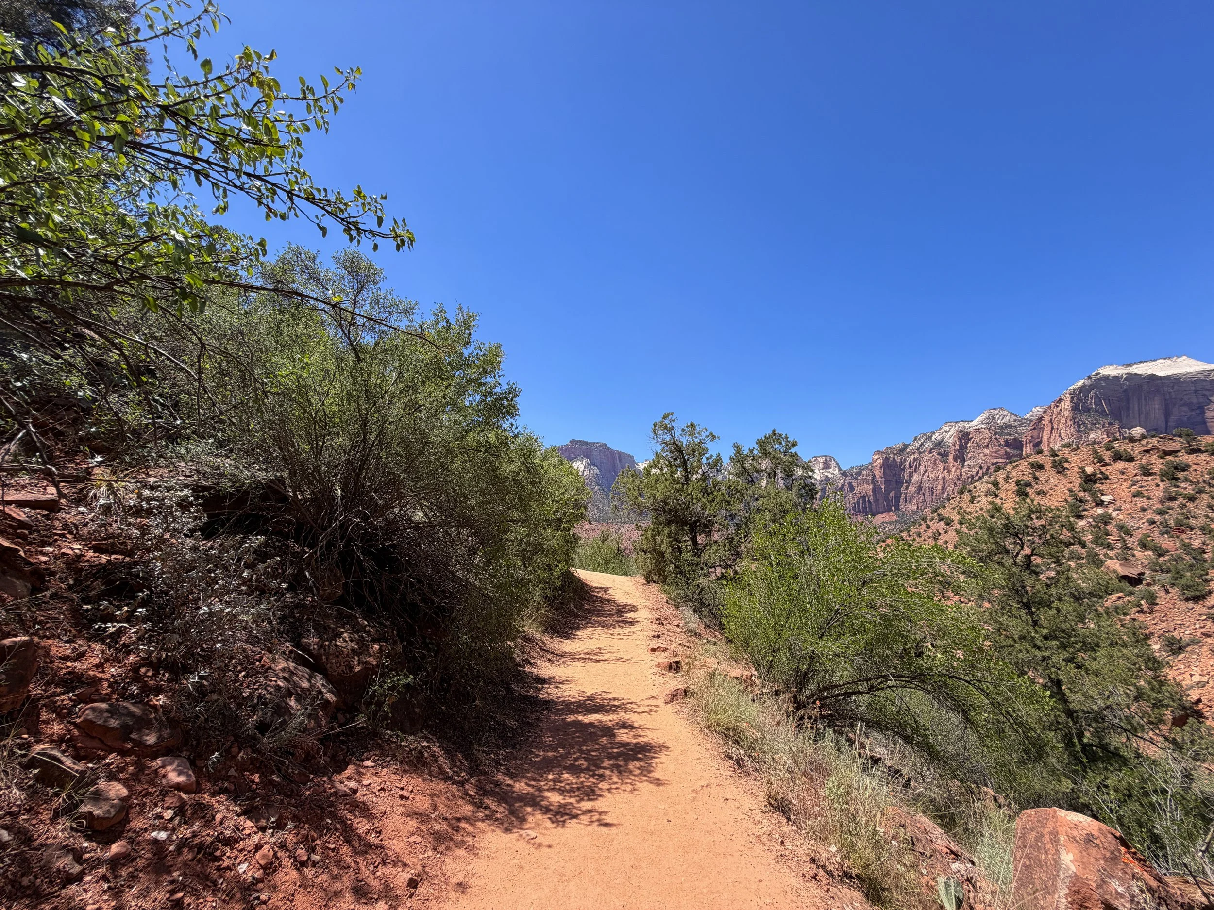 Watchman Trail Zion National Park Utah