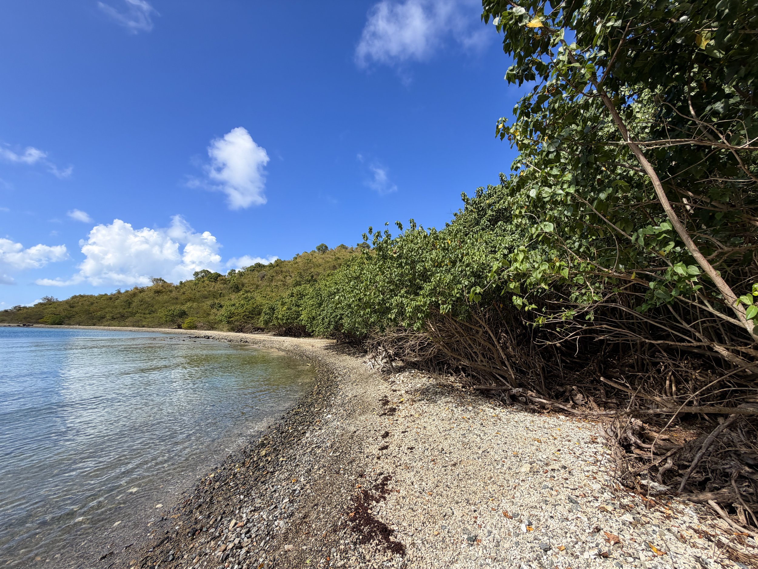 Leinster Bay Hike Virgin Islands National Park