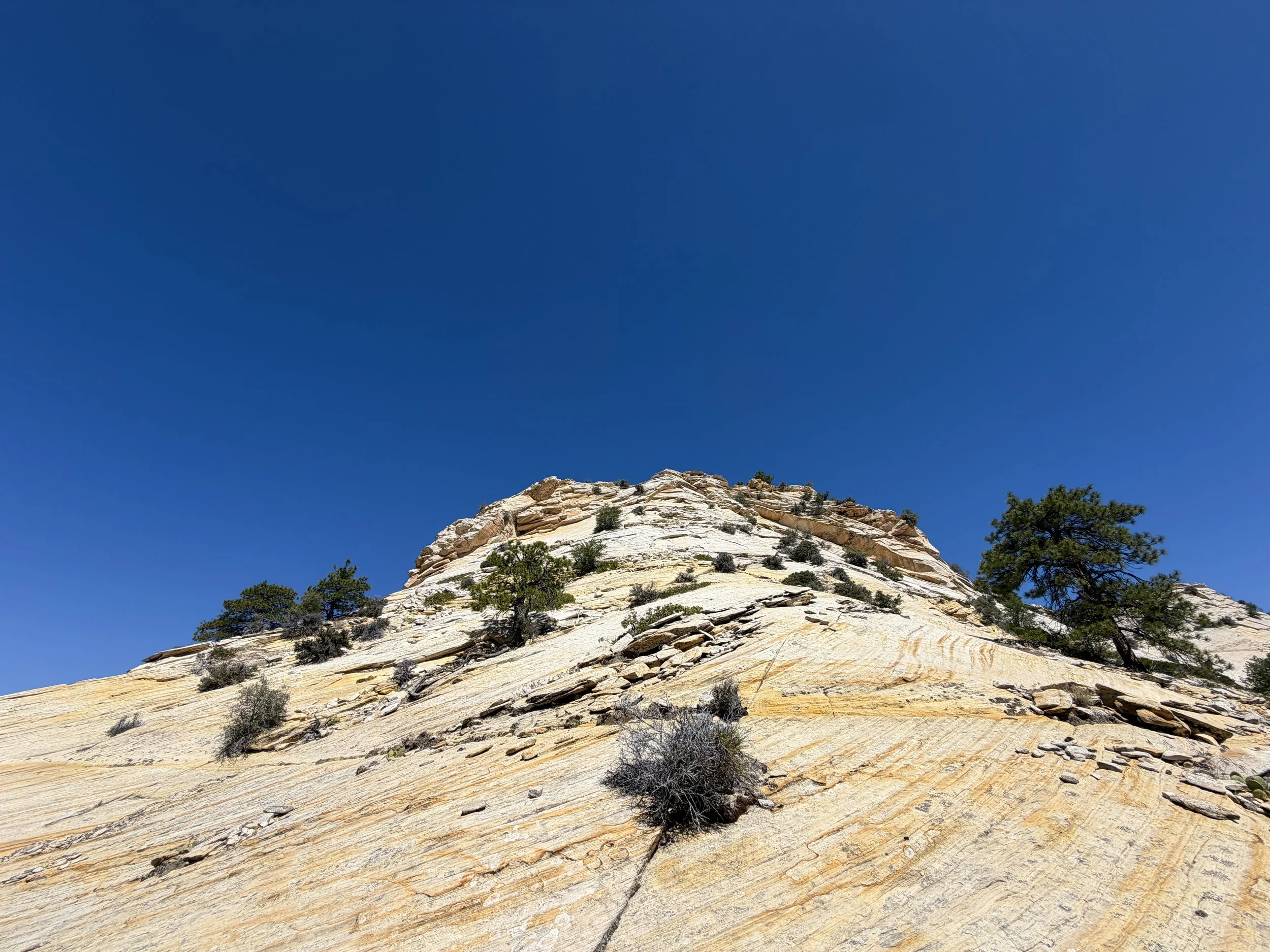 South Ariel Peak Hike Zion National Park Utah