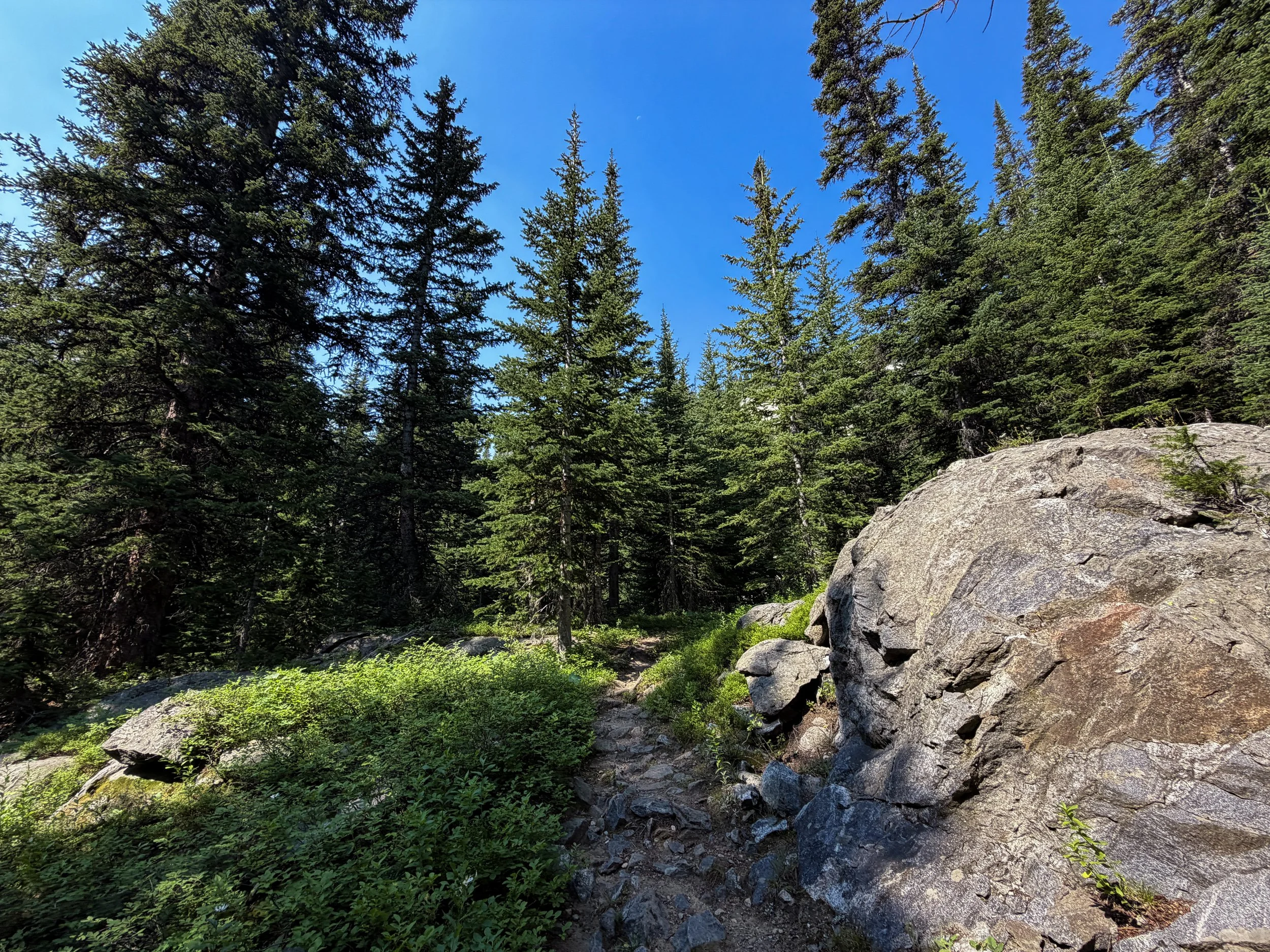 East Rosebud Trail The Beaten Path Beartooth Mountains Montana