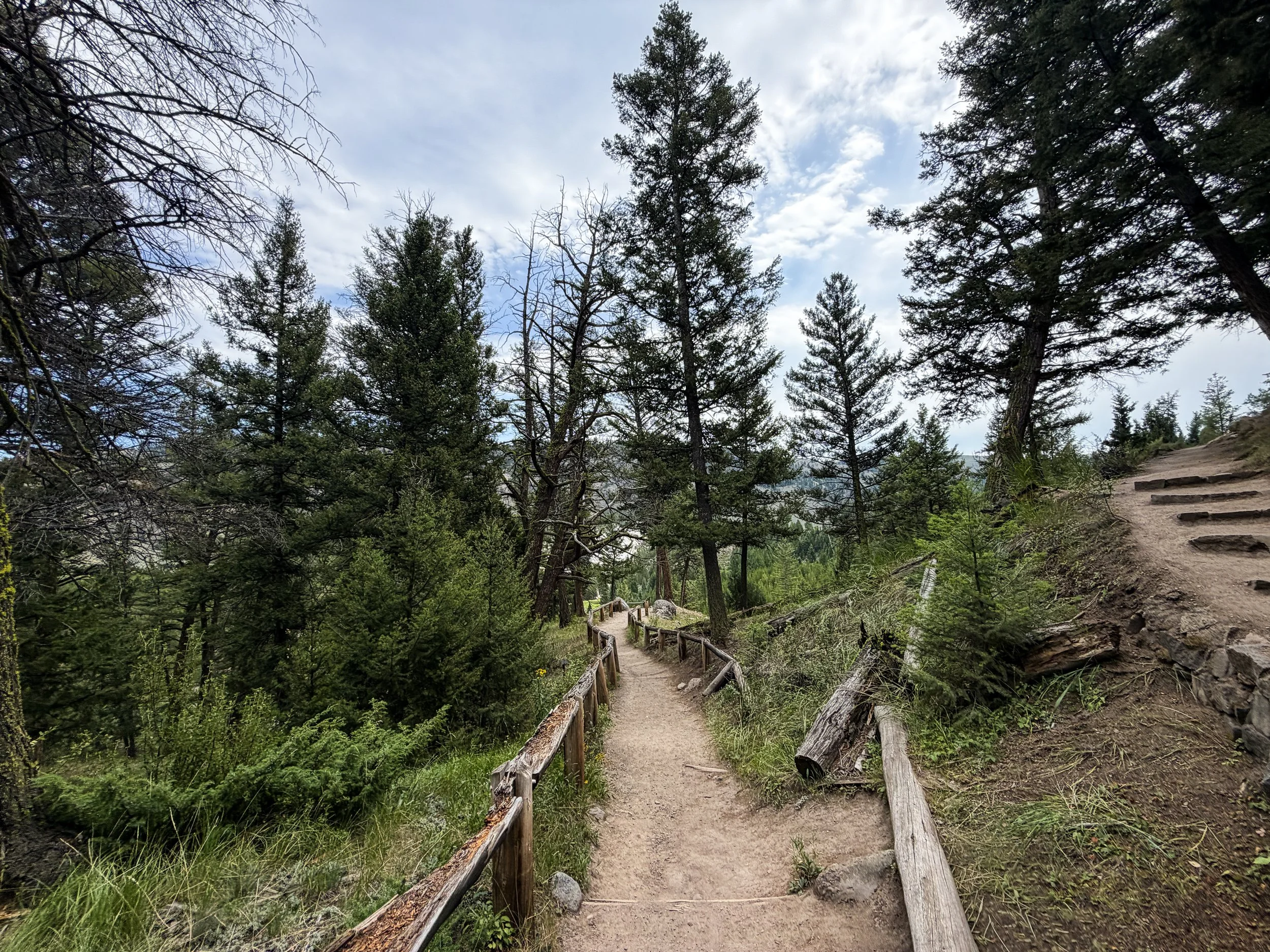 Tower Falls Trail Yellowstone National Park Wyoming