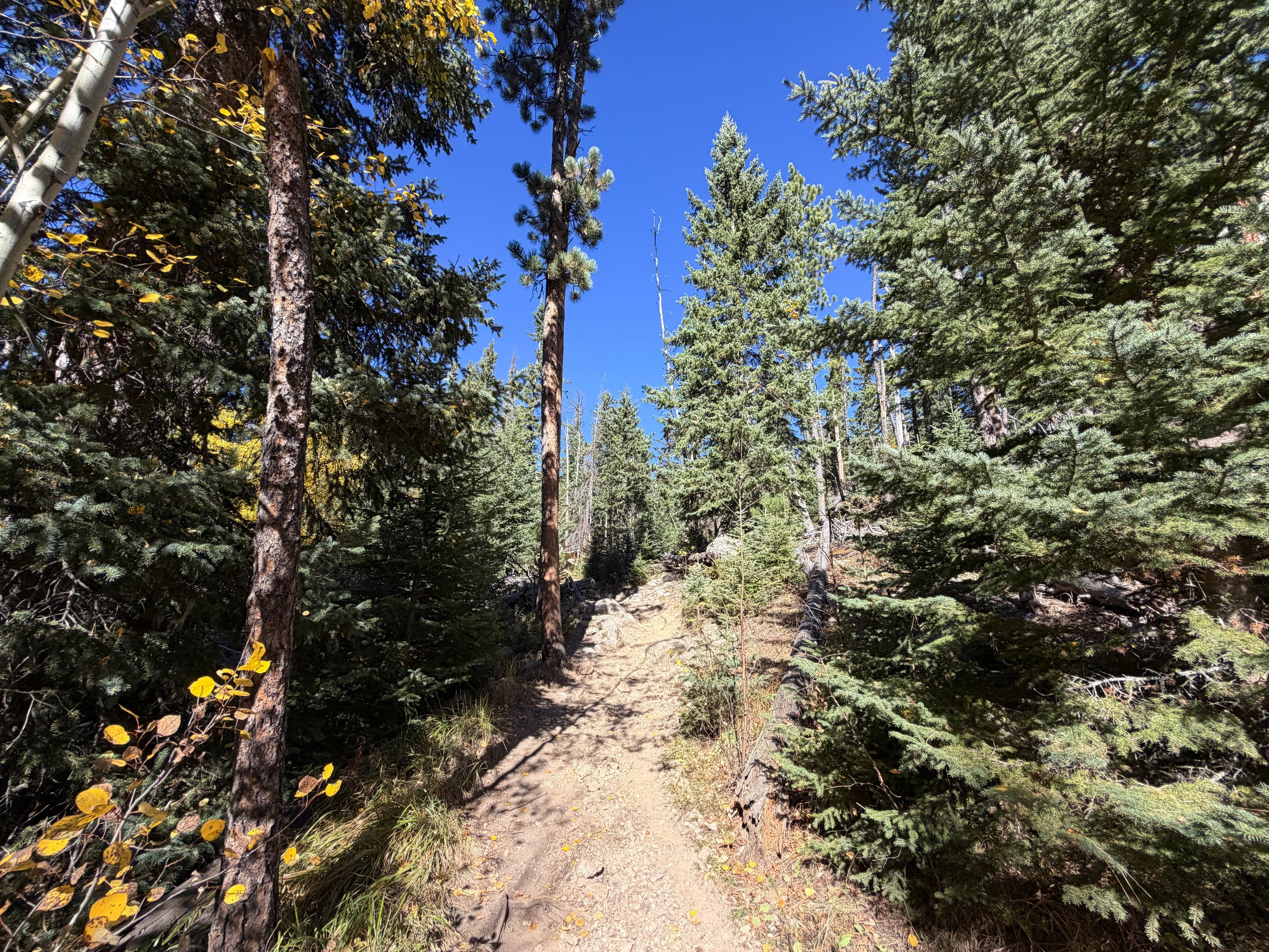 Black Elk Peak Trail via Custer State Park Black Hills South Dakota