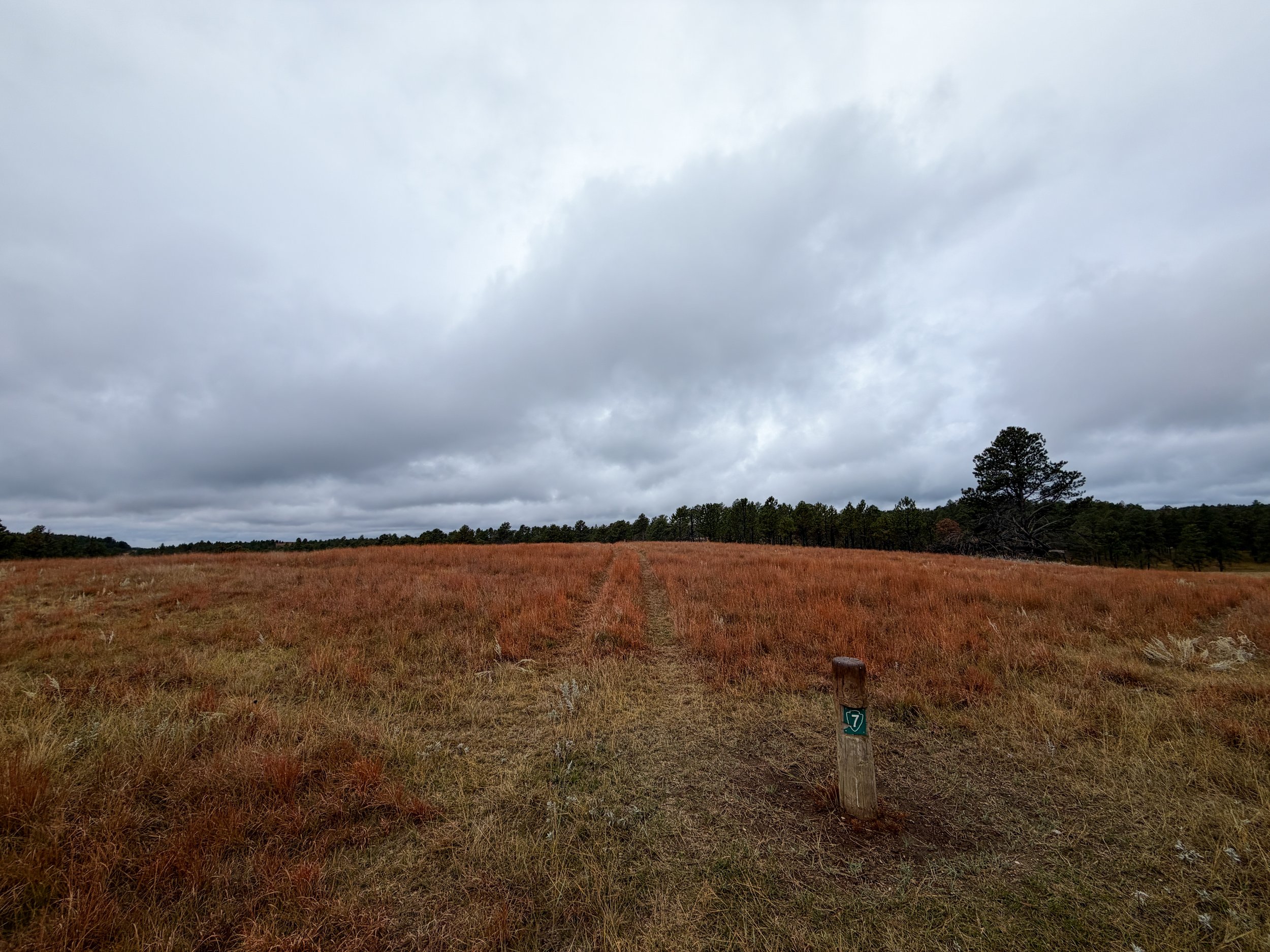 Highland Creek to Wind Cave Canyon Trail Wind Cave National Park South Dakota