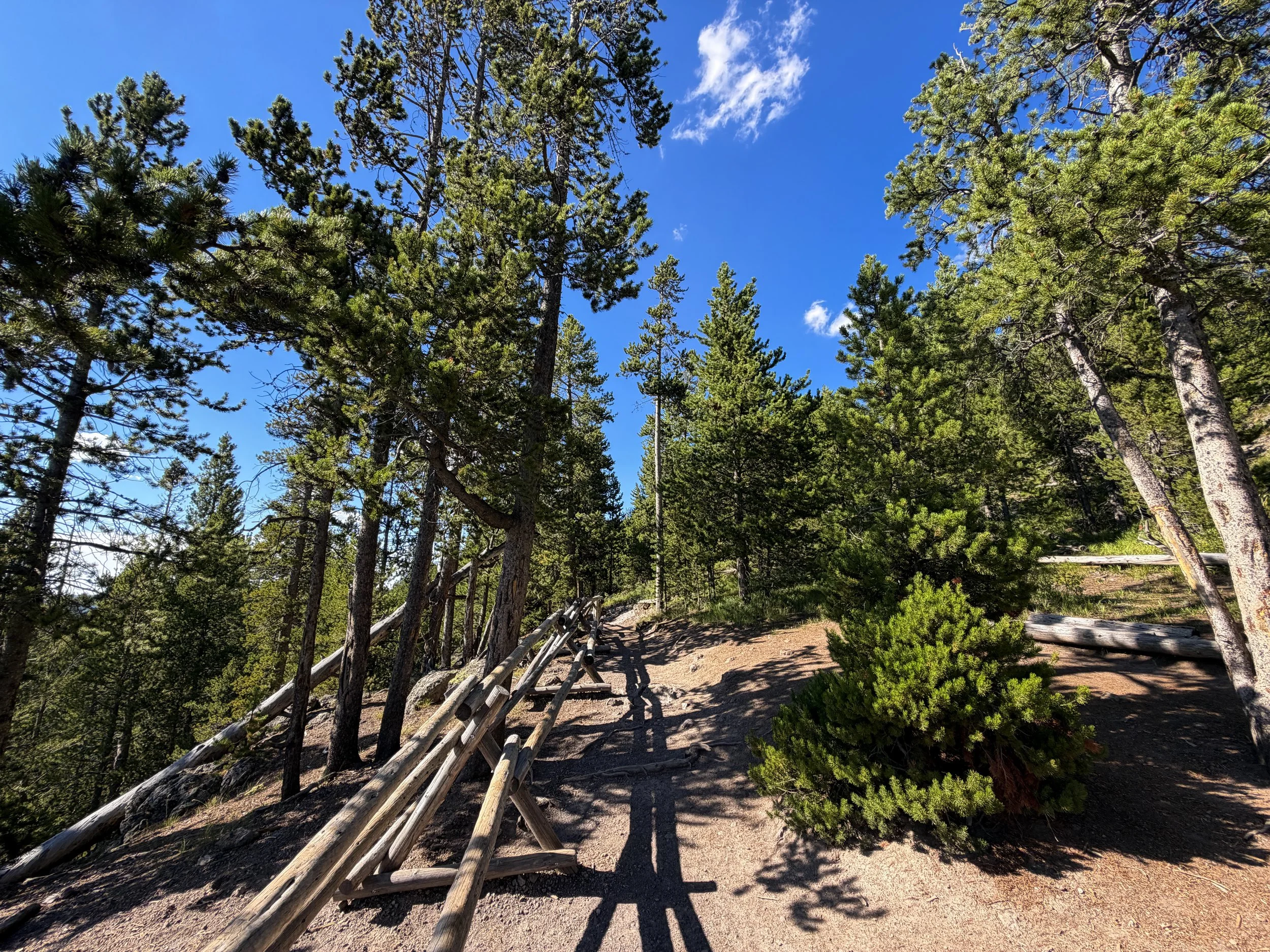 Observation Point Loop Trail Yellowstone National Park Wyoming