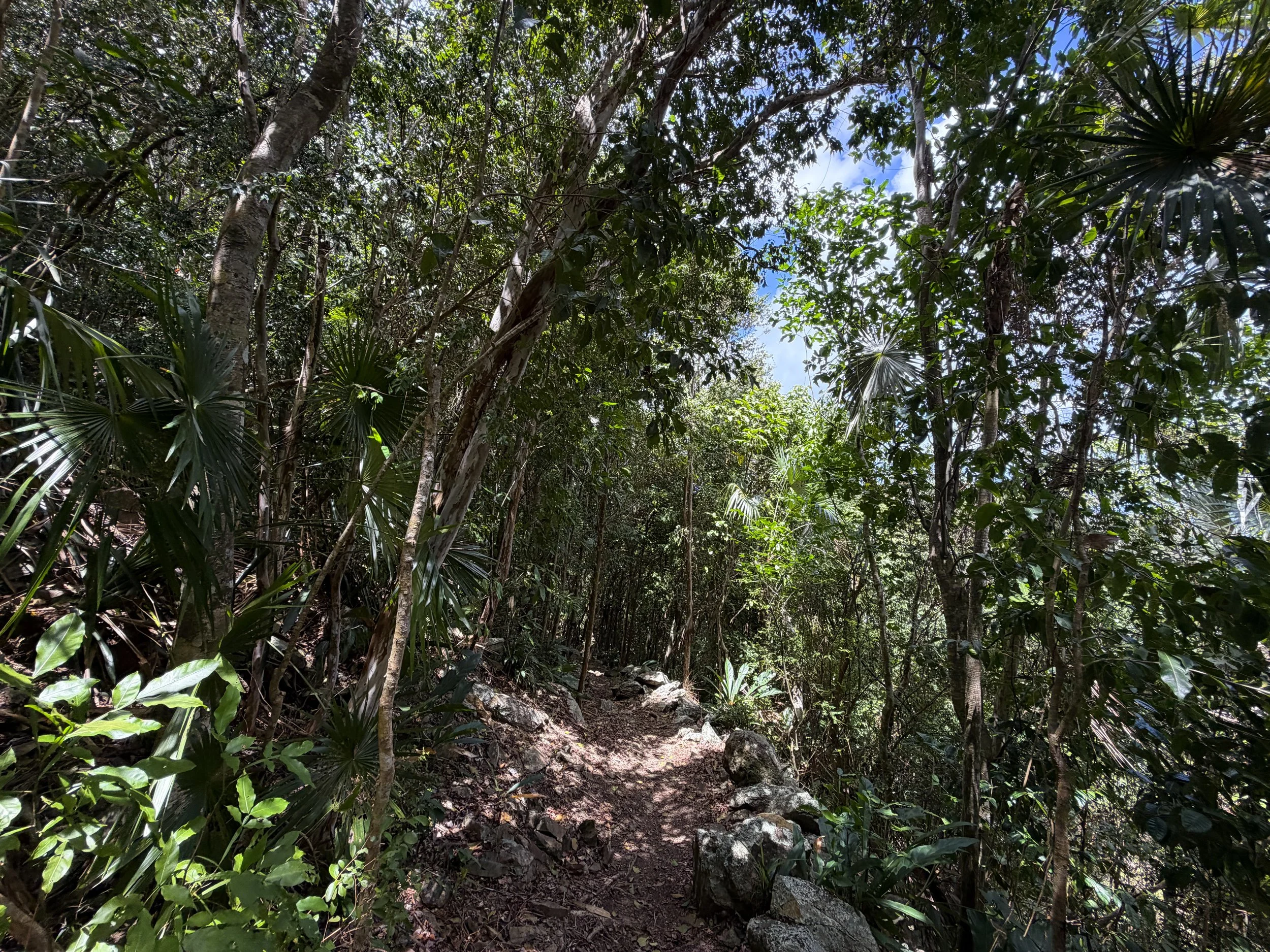 Maria Hope Hike Virgin Islands National Park