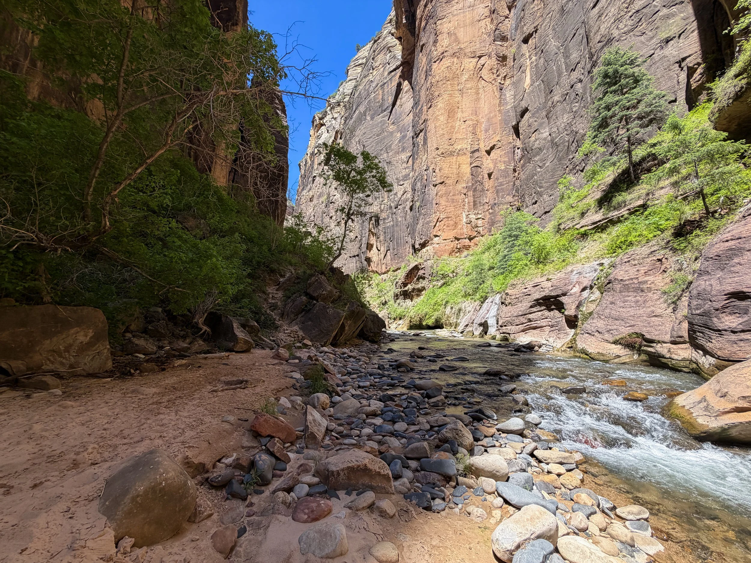 Narrows Bottom-Up Hike to Big Springs Zion National Park Utah