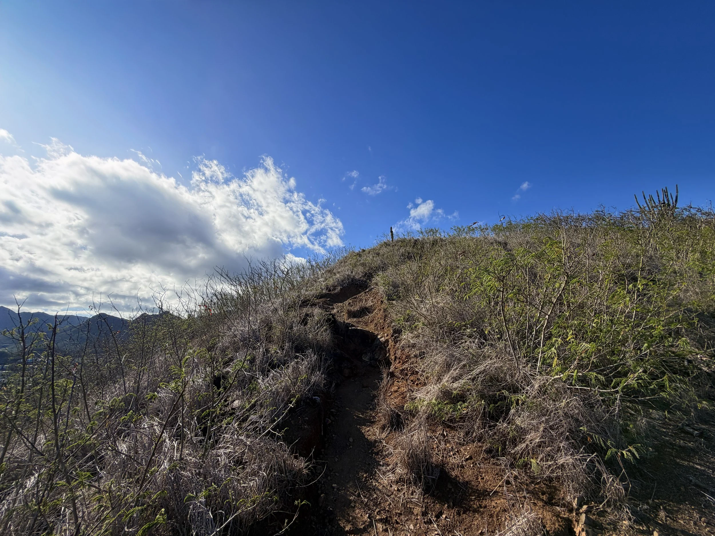 Back Way Lanikai Pillbox Hike Oahu Hawaii