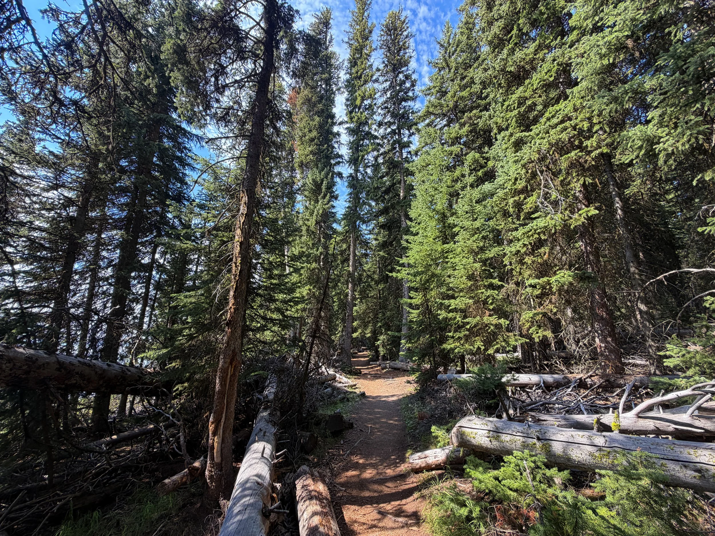 Storm Point Loop Trail Yellowstone National Park Wyoming