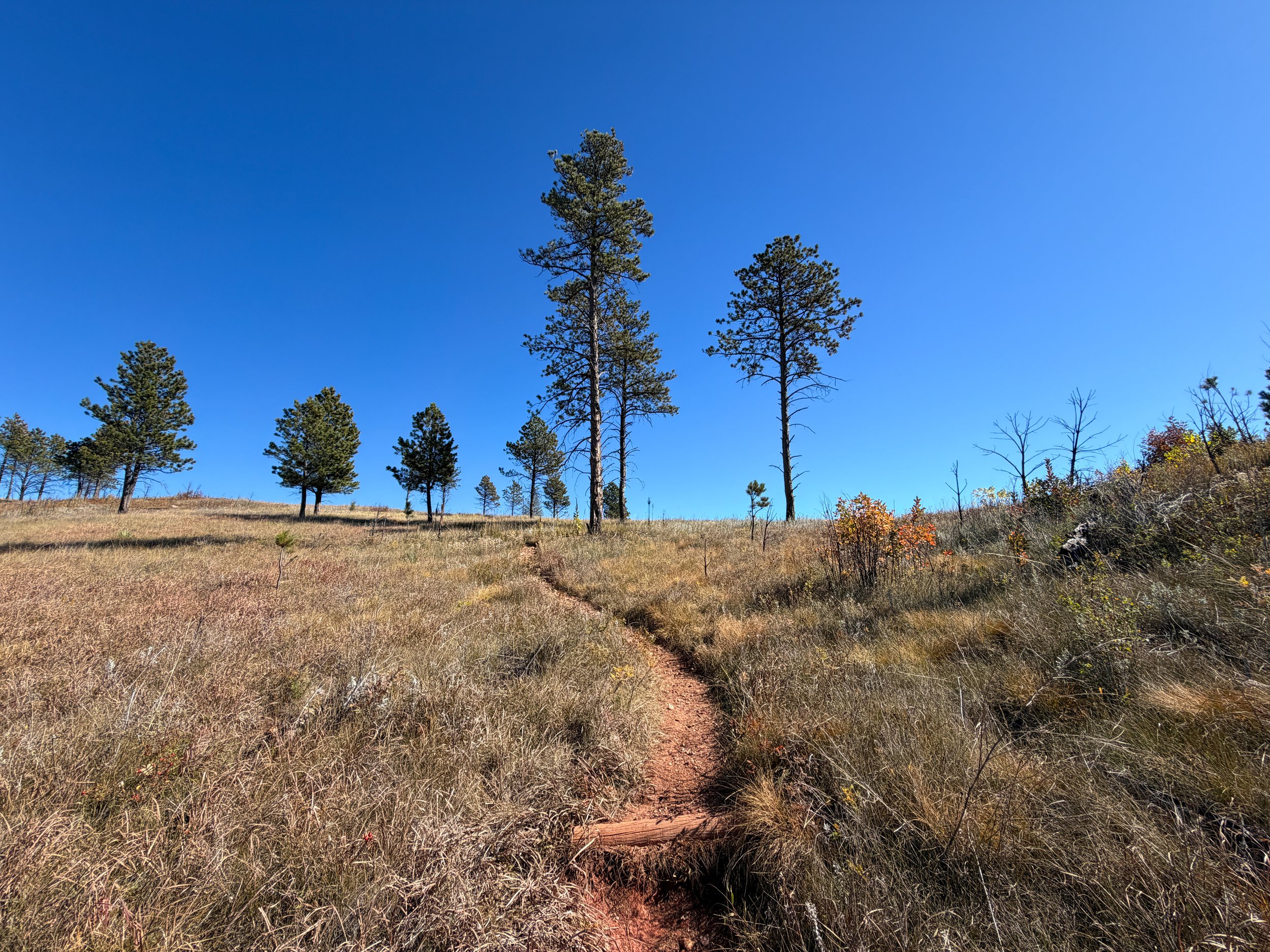 Elk Mountain Nature Trail Wind Cave National Park South Dakota