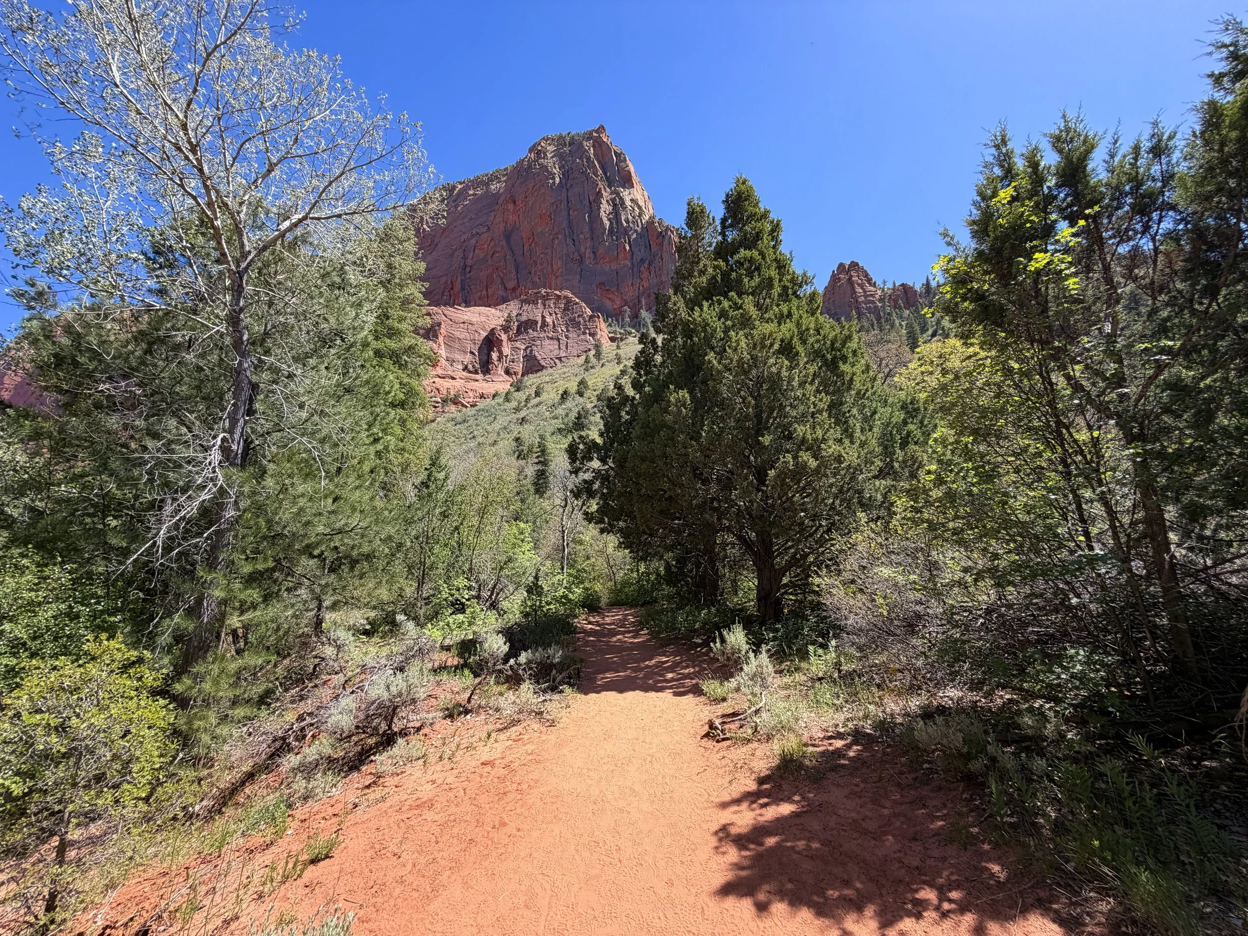 Taylor Creek Trail Zion National Park Utah