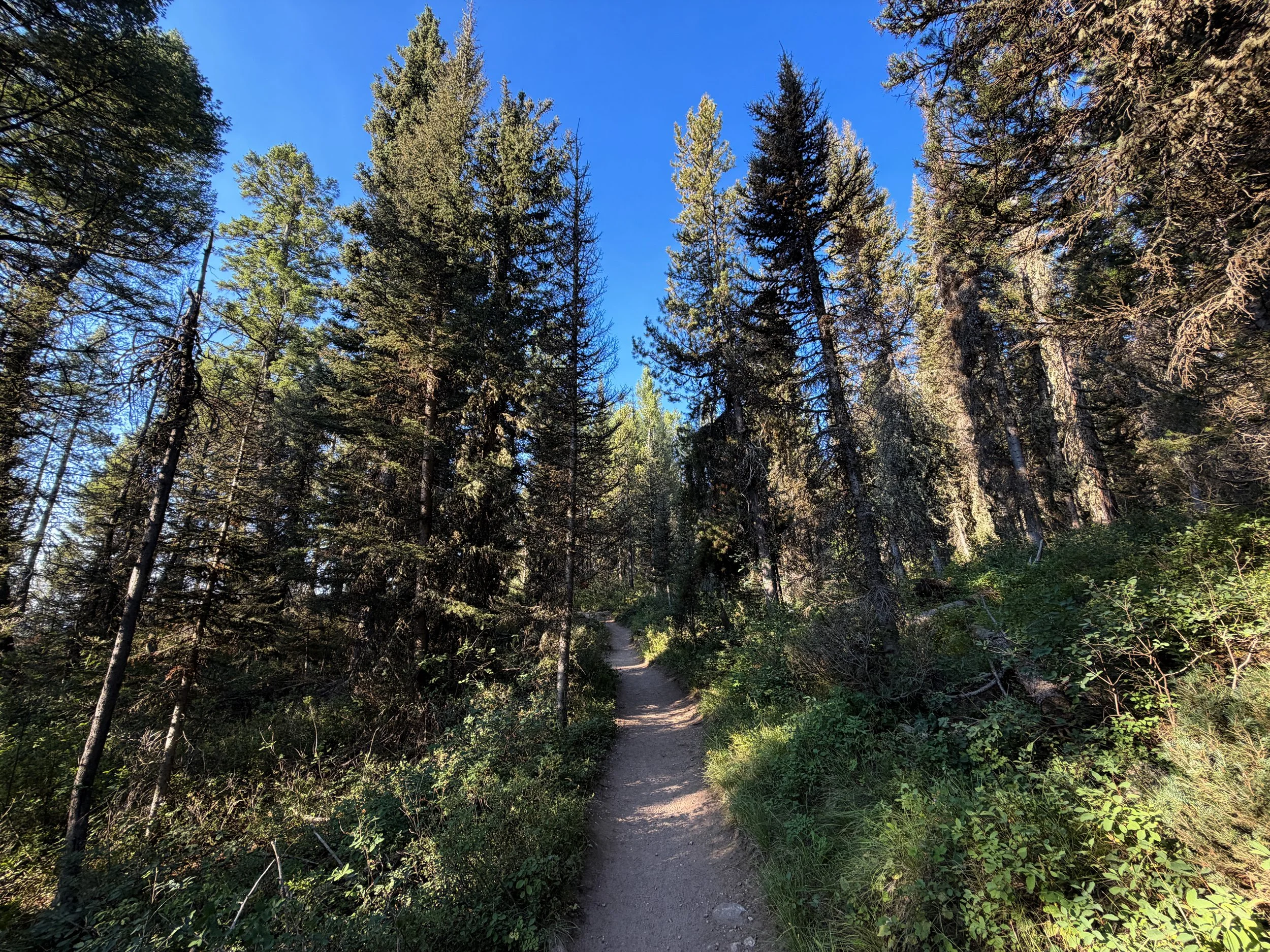 Delta Lake Hike via Lupine Meadows Grand Teton National Park Wyoming