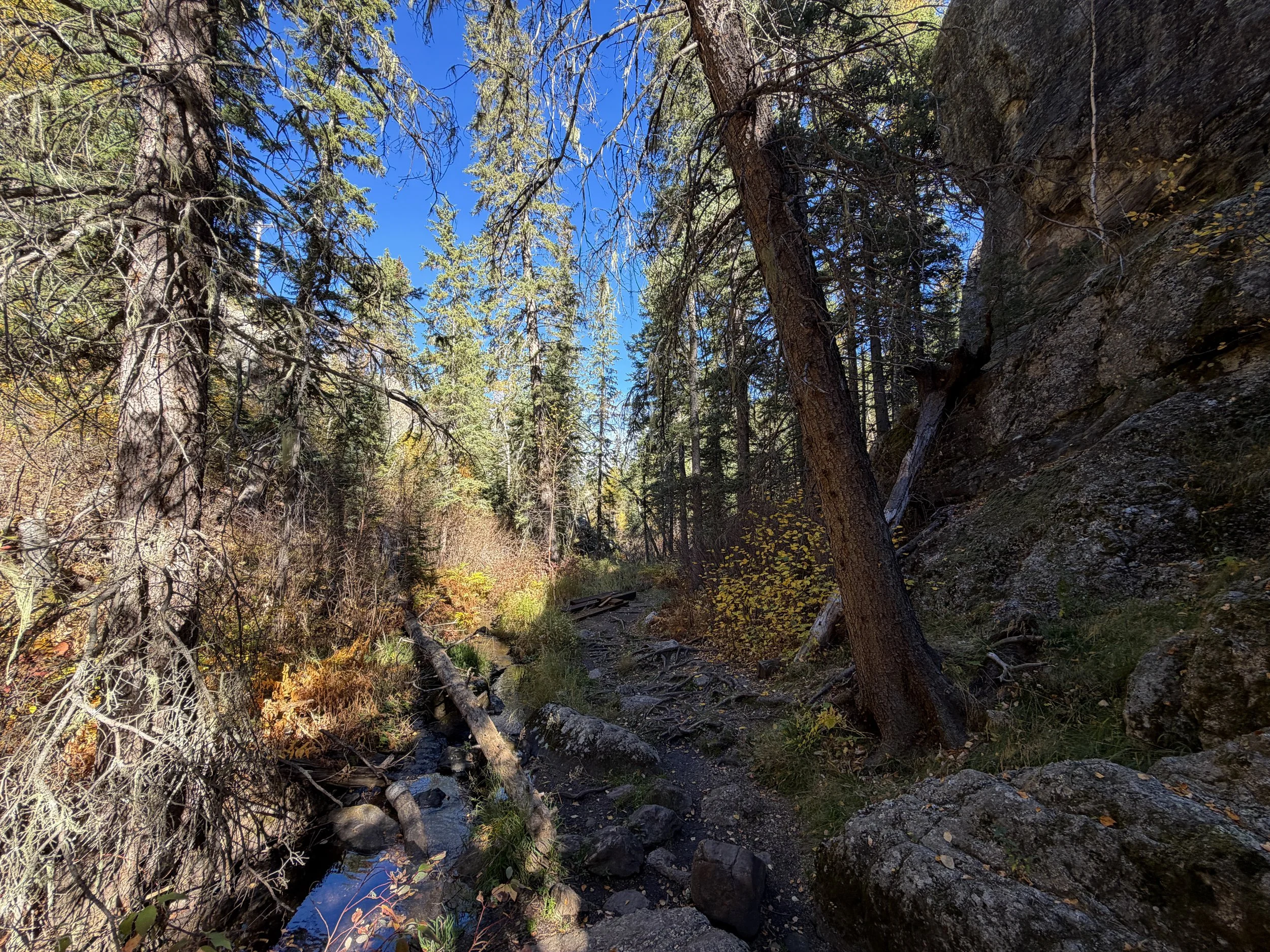 Sunday Gulch Loop Hike Custer State Park Black Hills South Dakota