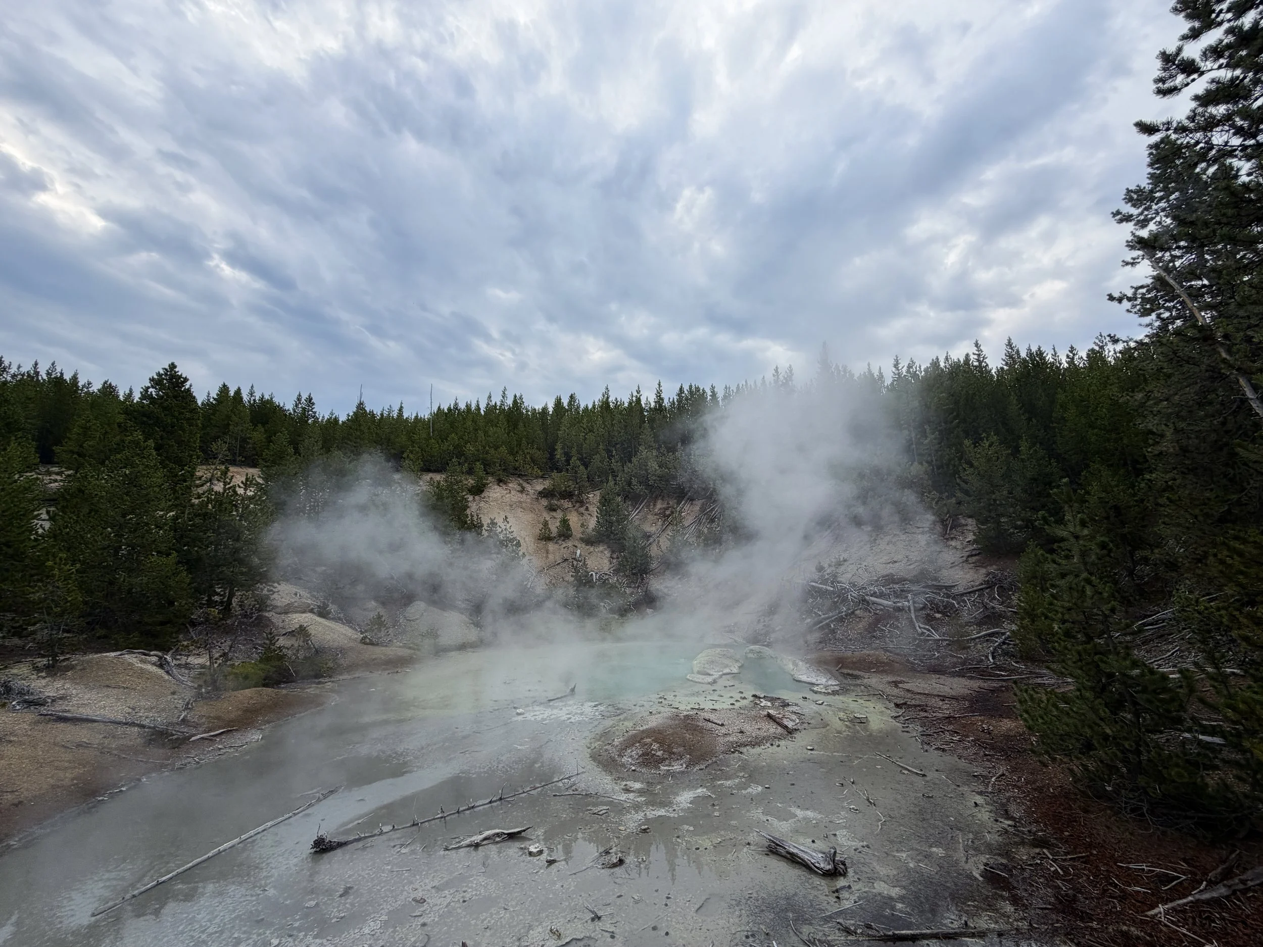 Monarch Geyser Norris Geyser Basin Trail Yellowstone National Park Wyoming