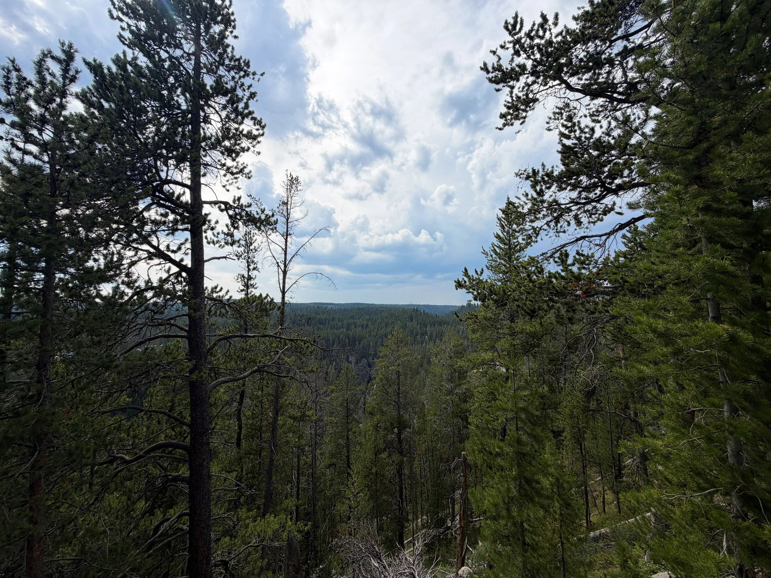 South Rim Trail Yellowstone National Park Wyoming