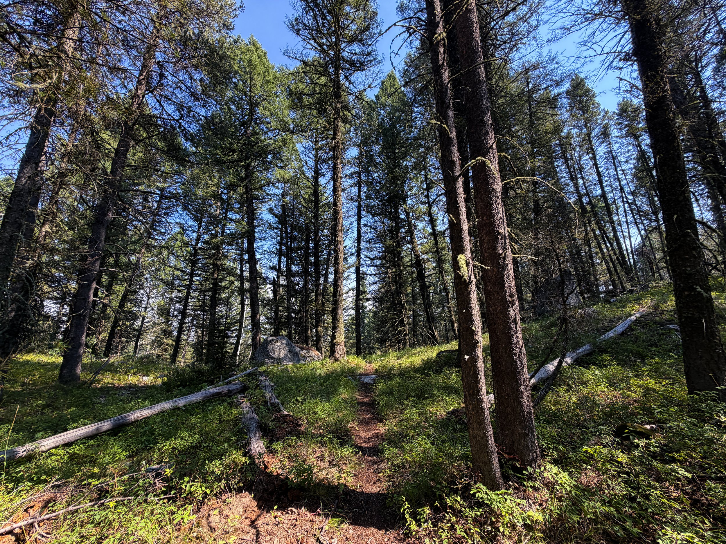 Boulder Field Trail Grand Teton National Park Wyoming