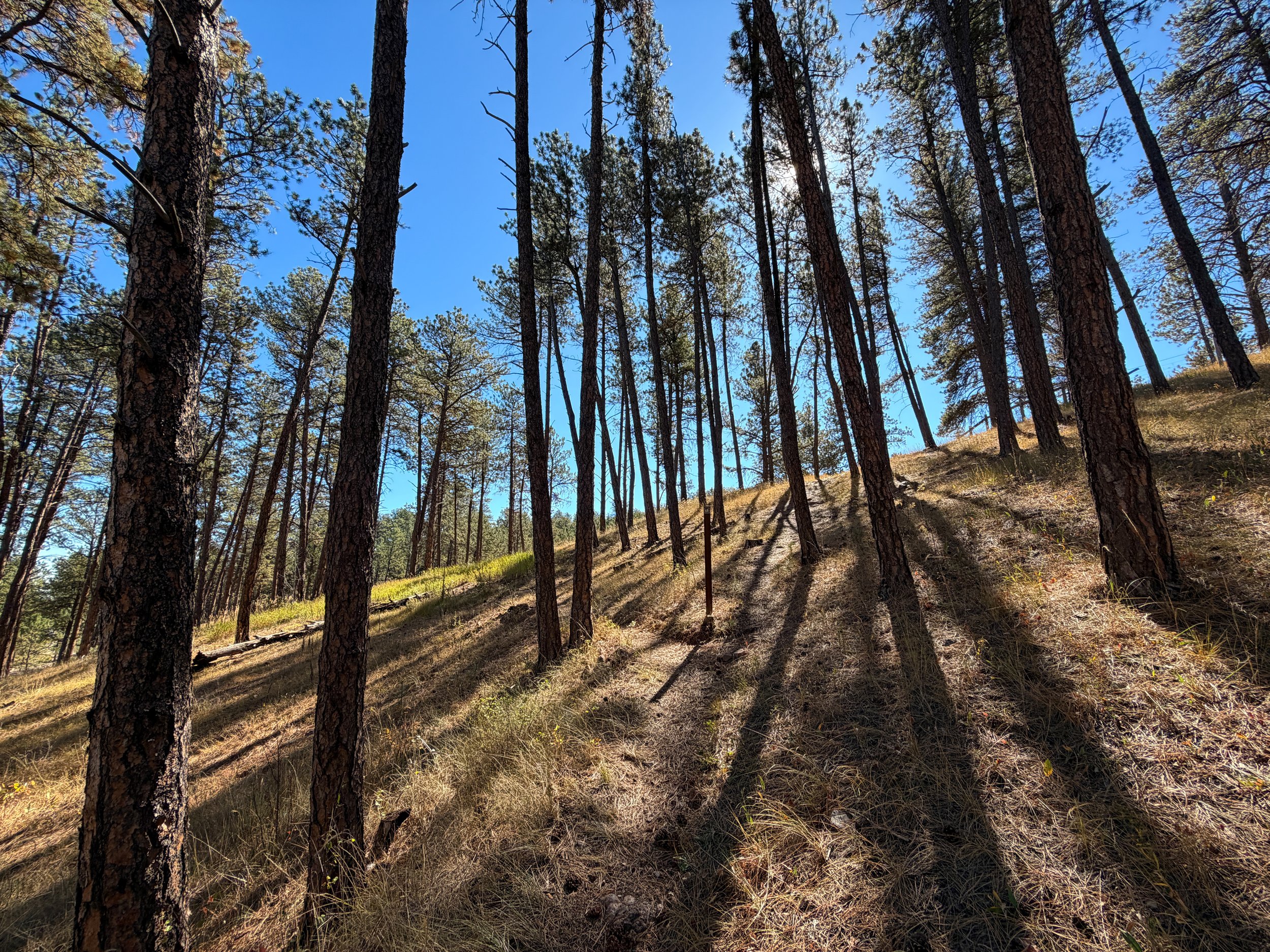 Elk Mountain Nature Trail Wind Cave National Park South Dakota