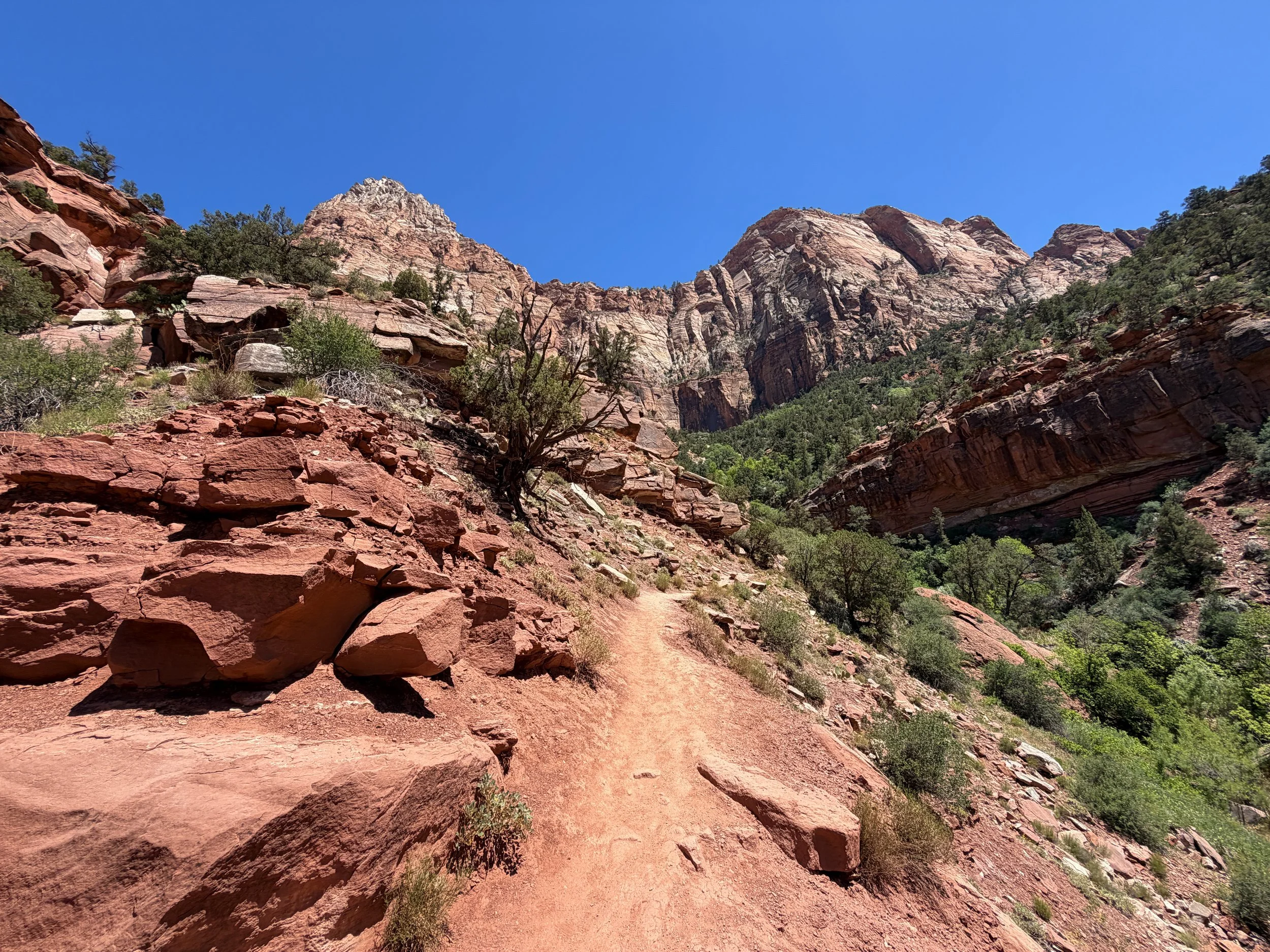 Watchman Hike Zion National Park Utah
