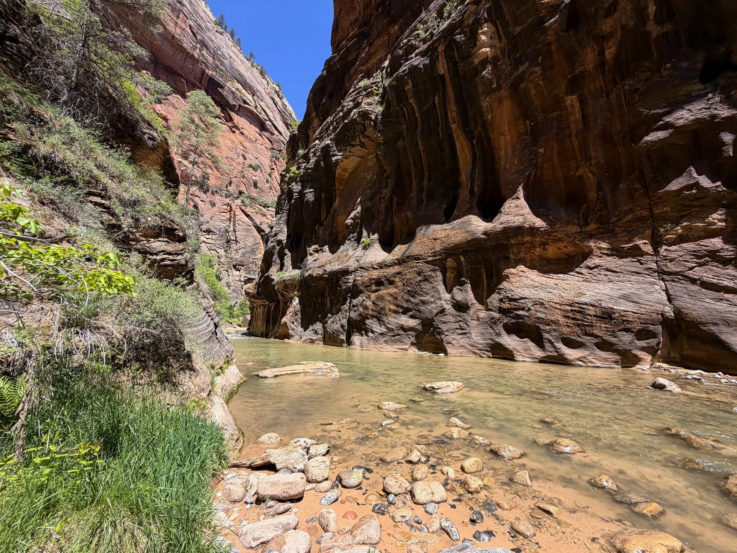 The Narrows Hike Zion National Park Utah