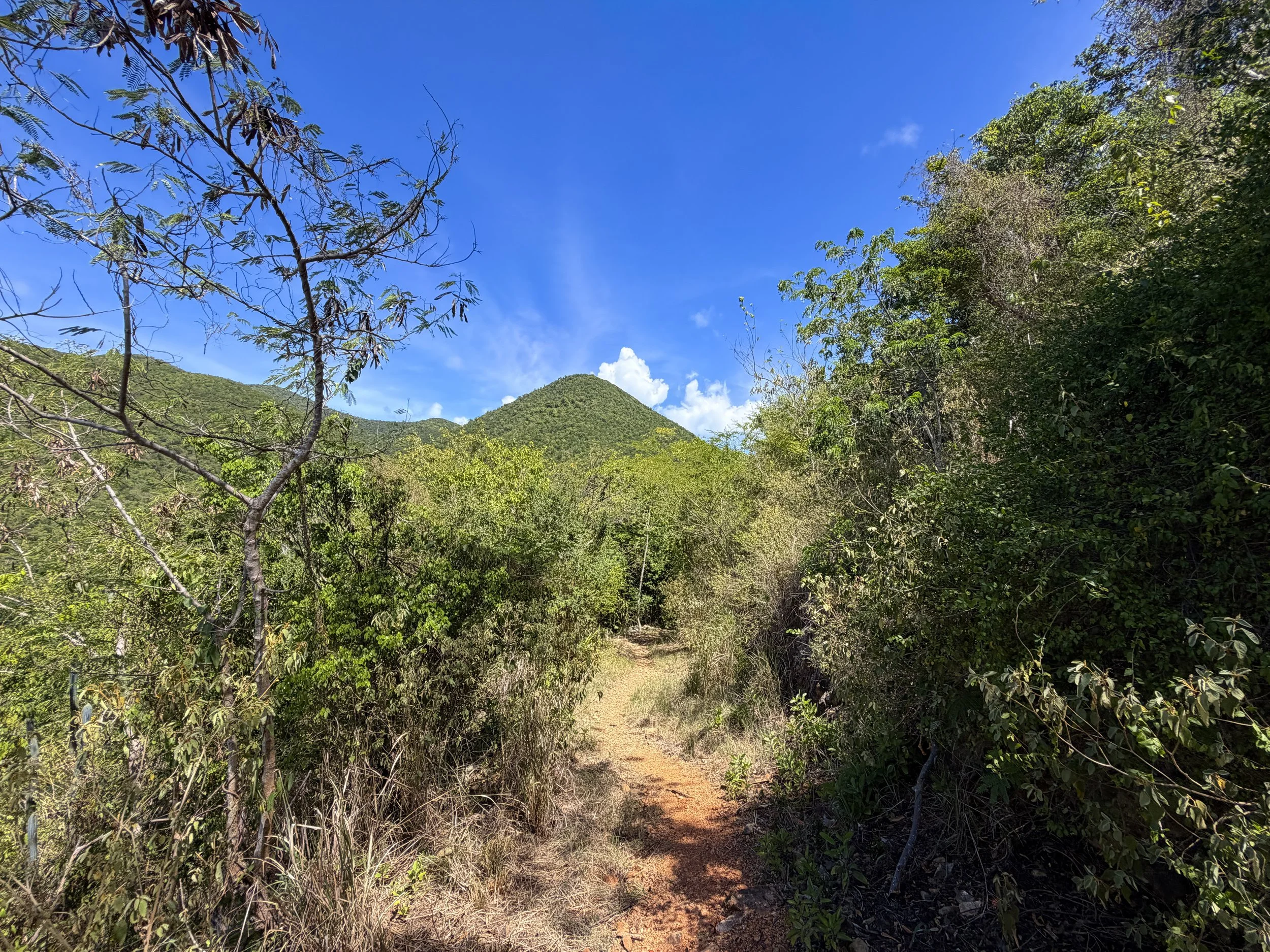 Lameshur Bay Trail Virgin Islands National Park
