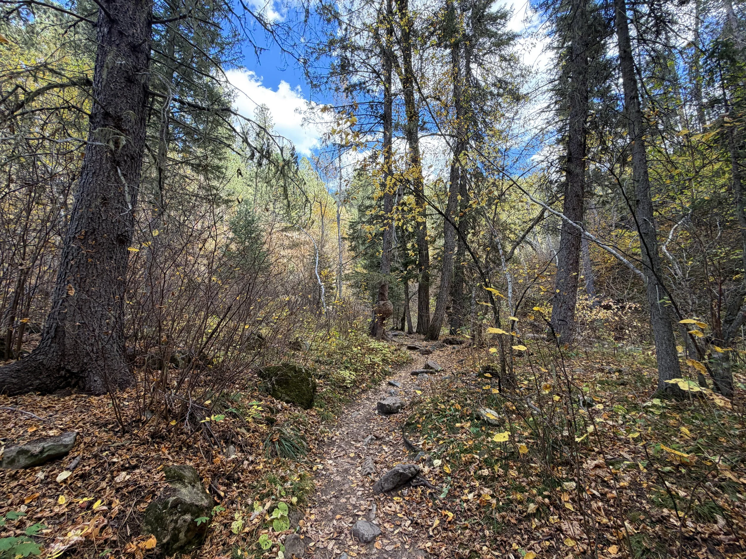 Devils Bathtub Trail Spearfish Canyon Black Hills South Dakota