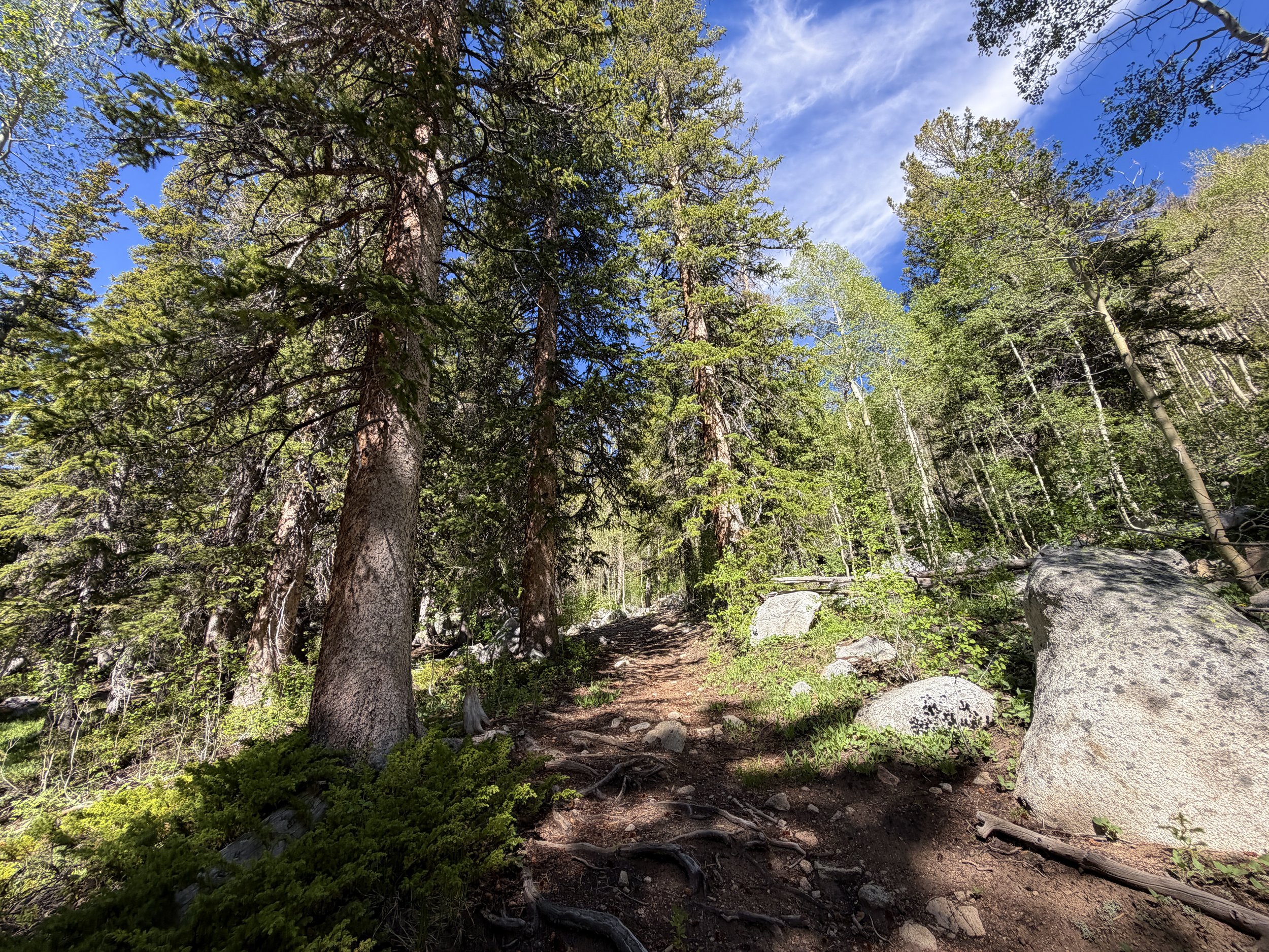 Johnson Lake Trail Great Basin National Park Nevada