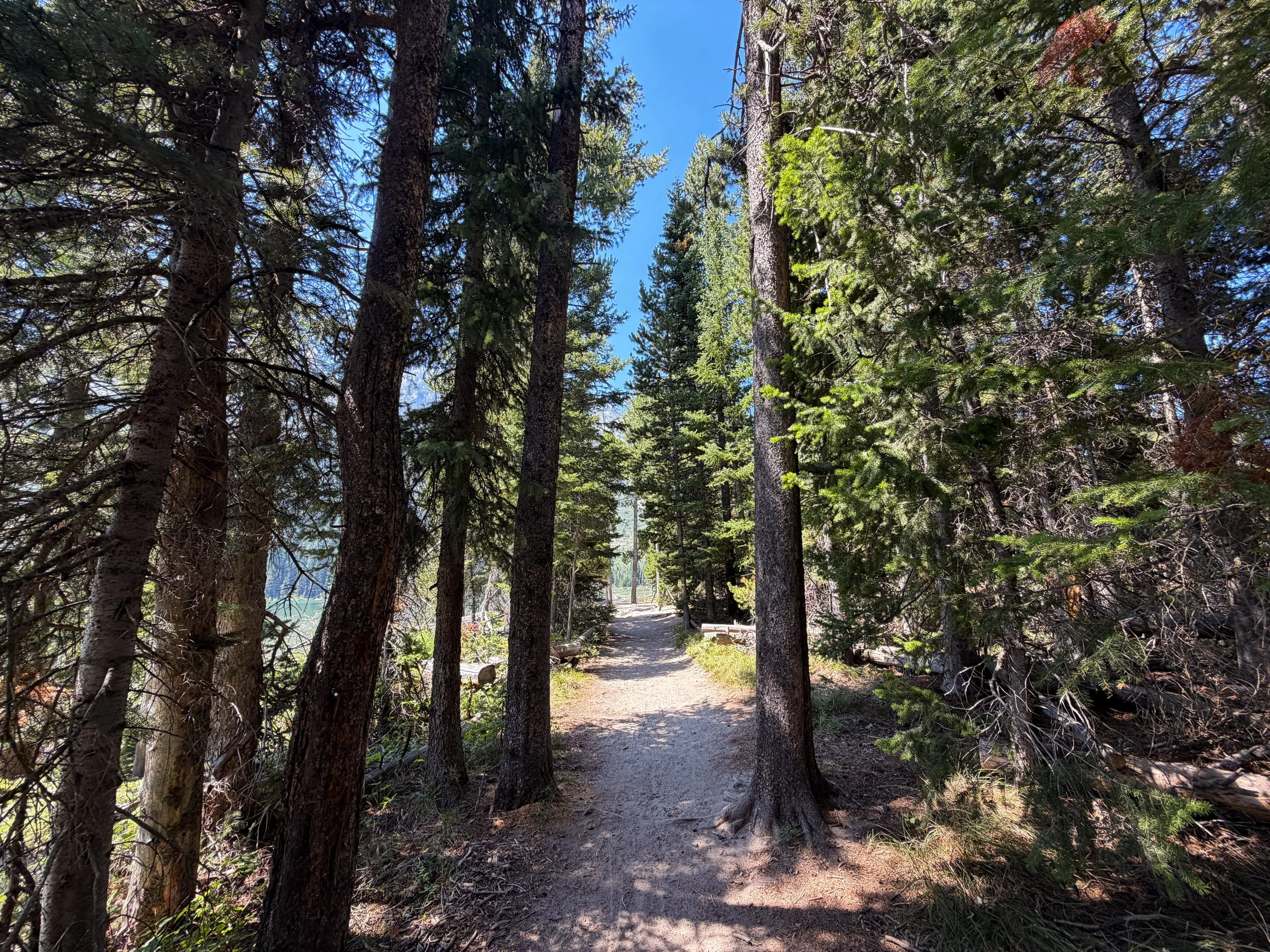 String Lake Loop Trail Grand Teton National Park Wyoming