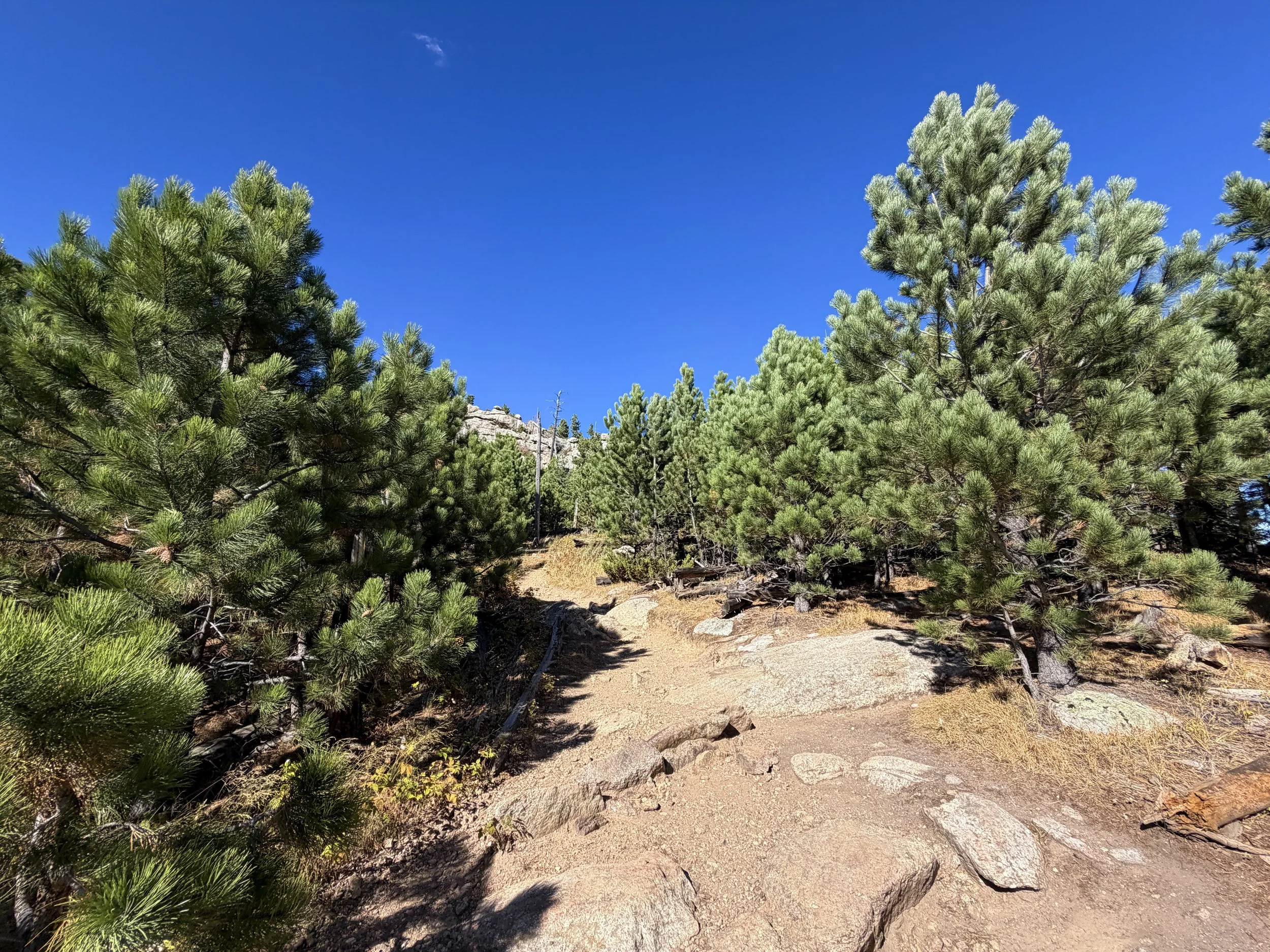 Black Elk Peak Trail to Harney Peak Lookout Black Hills South Dakota