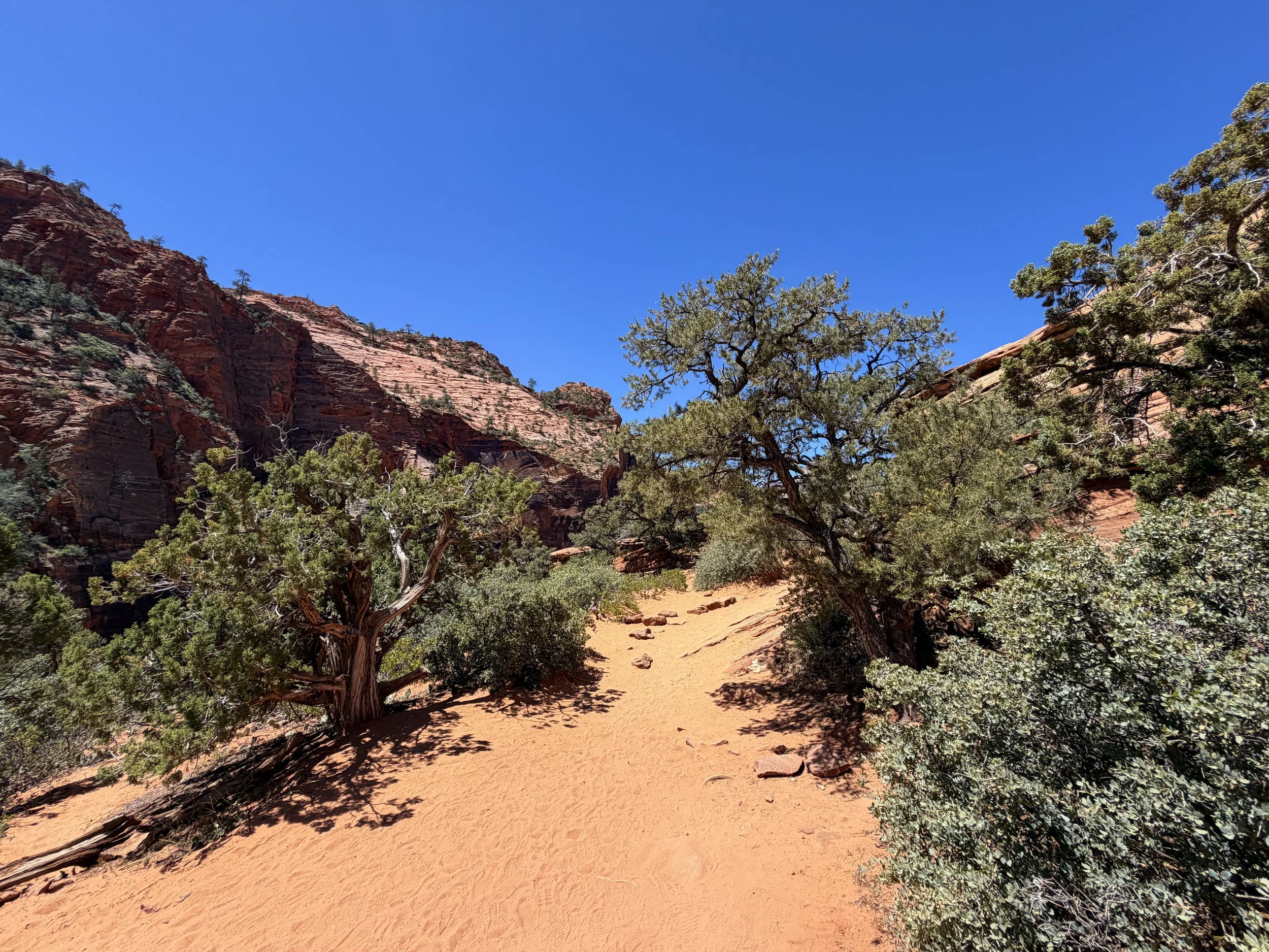 Canyon Overlook Trail Zion National Park Utah