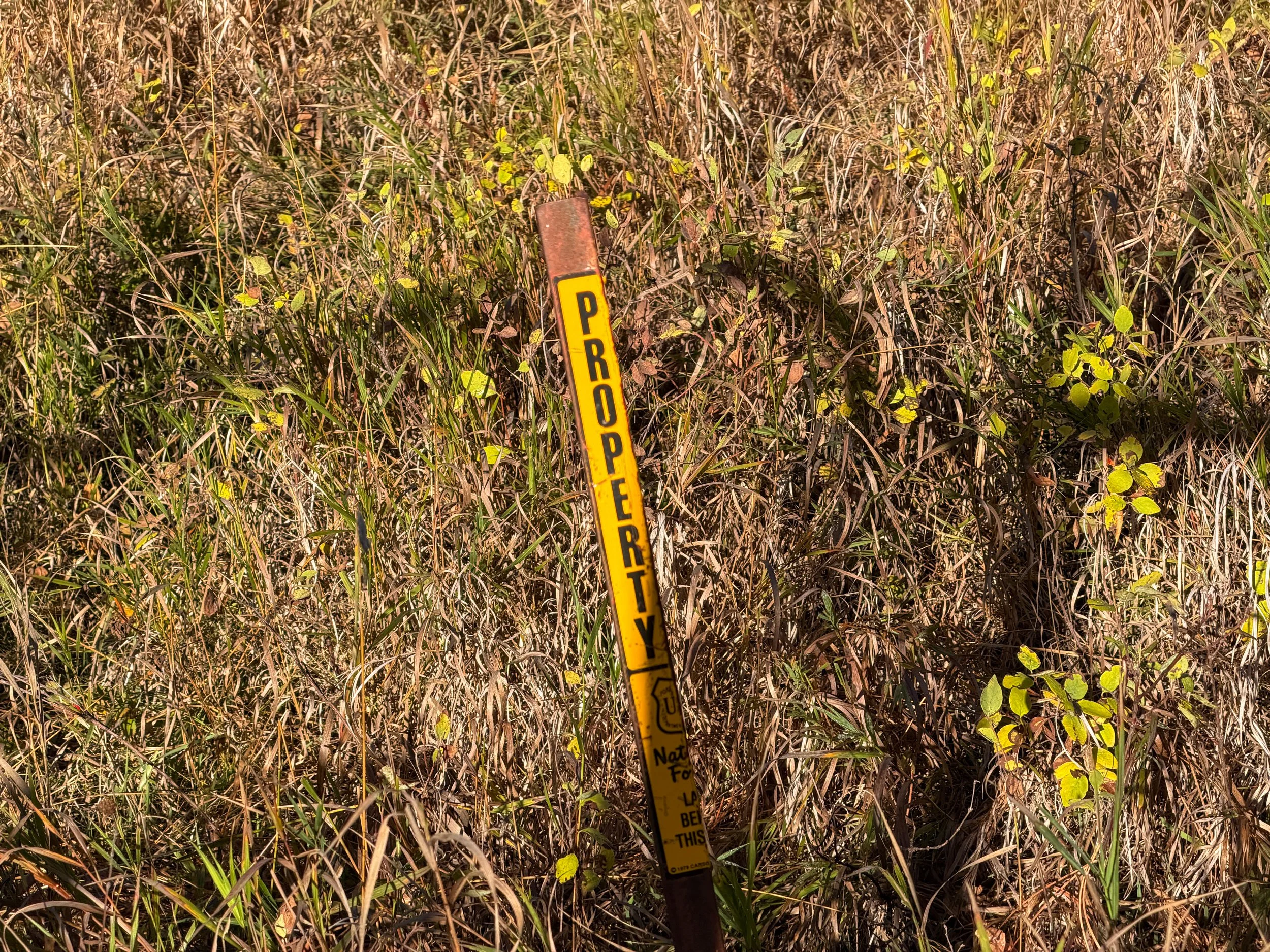 End of Cold Brook Canyon Trail Wind Cave National Park South Dakota