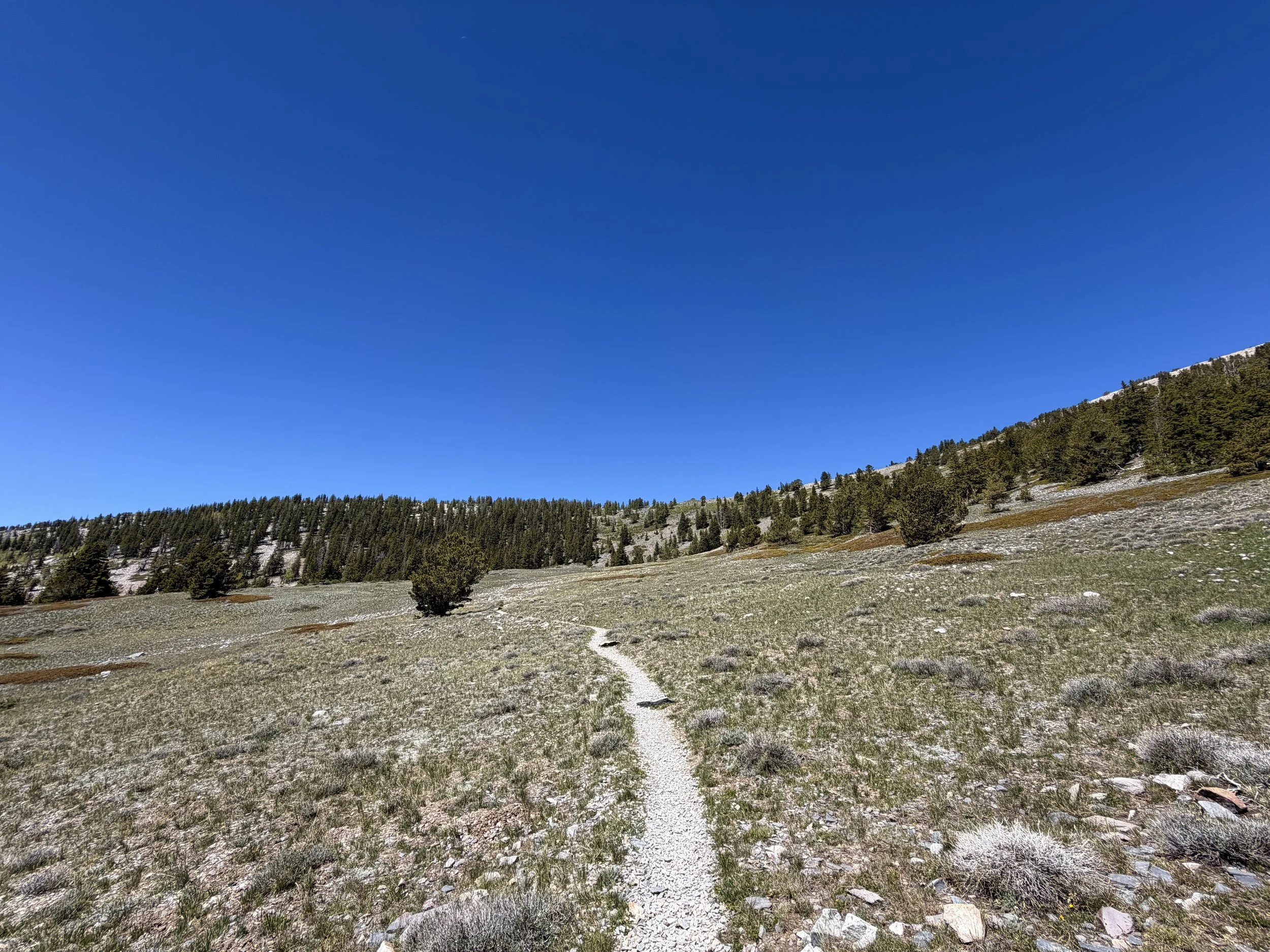 Wheeler Peak Trail Great Basin National Park Nevada
