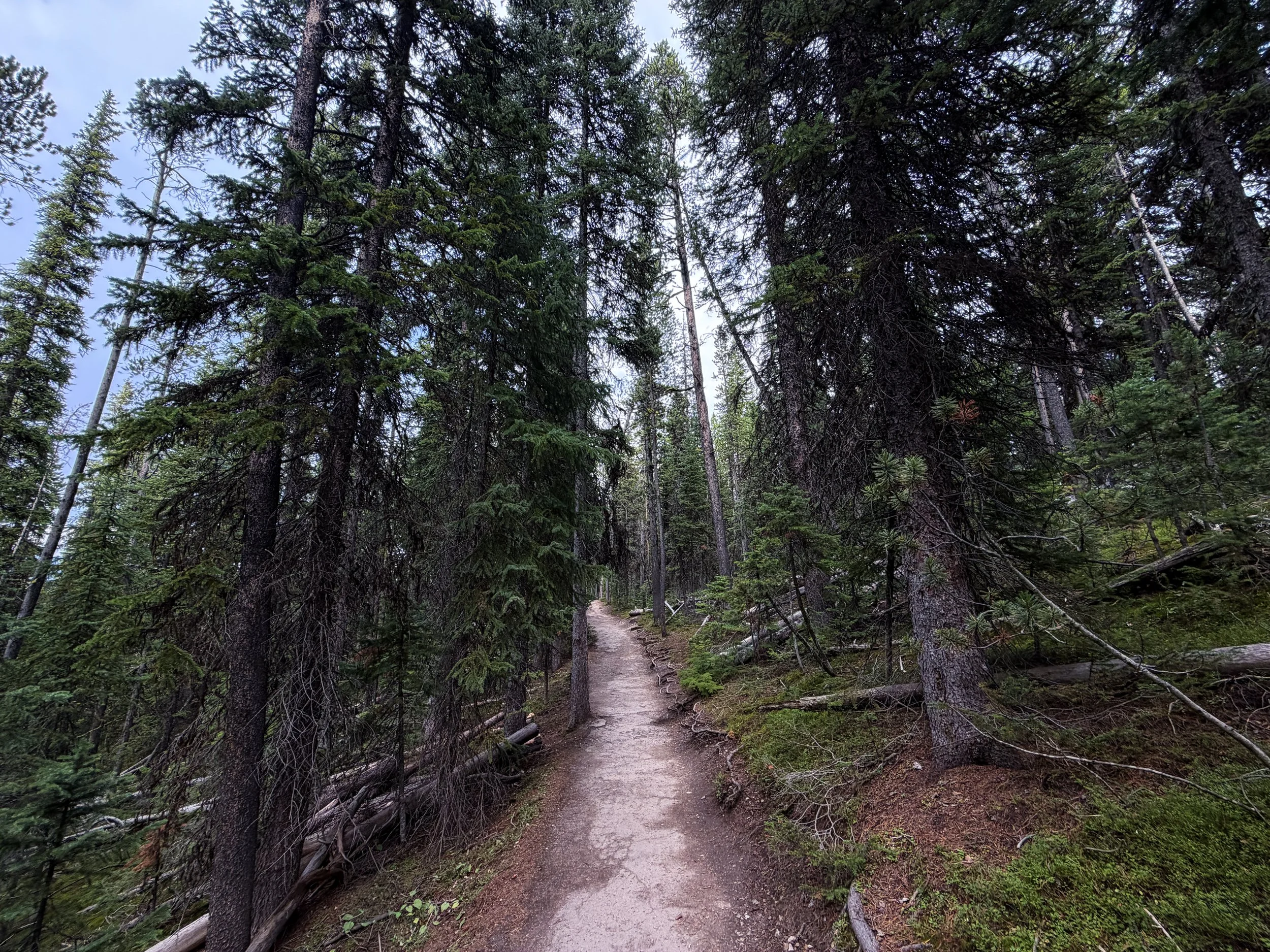 South Rim Trail Yellowstone National Park Wyoming