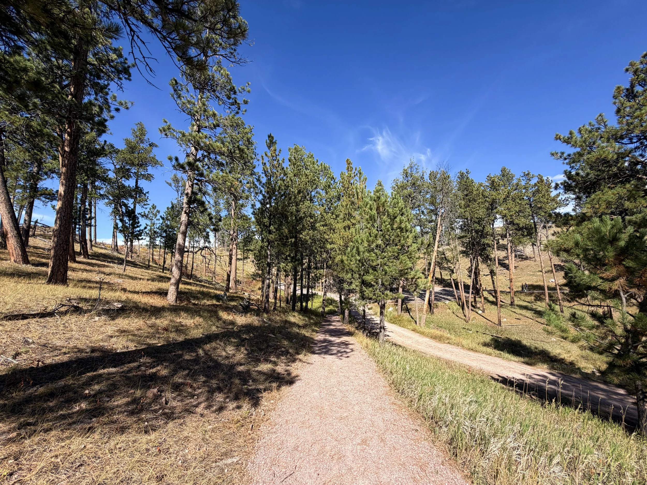 Canyons Loop Trail Jewel Cave National Monument Black Hills South Dakota