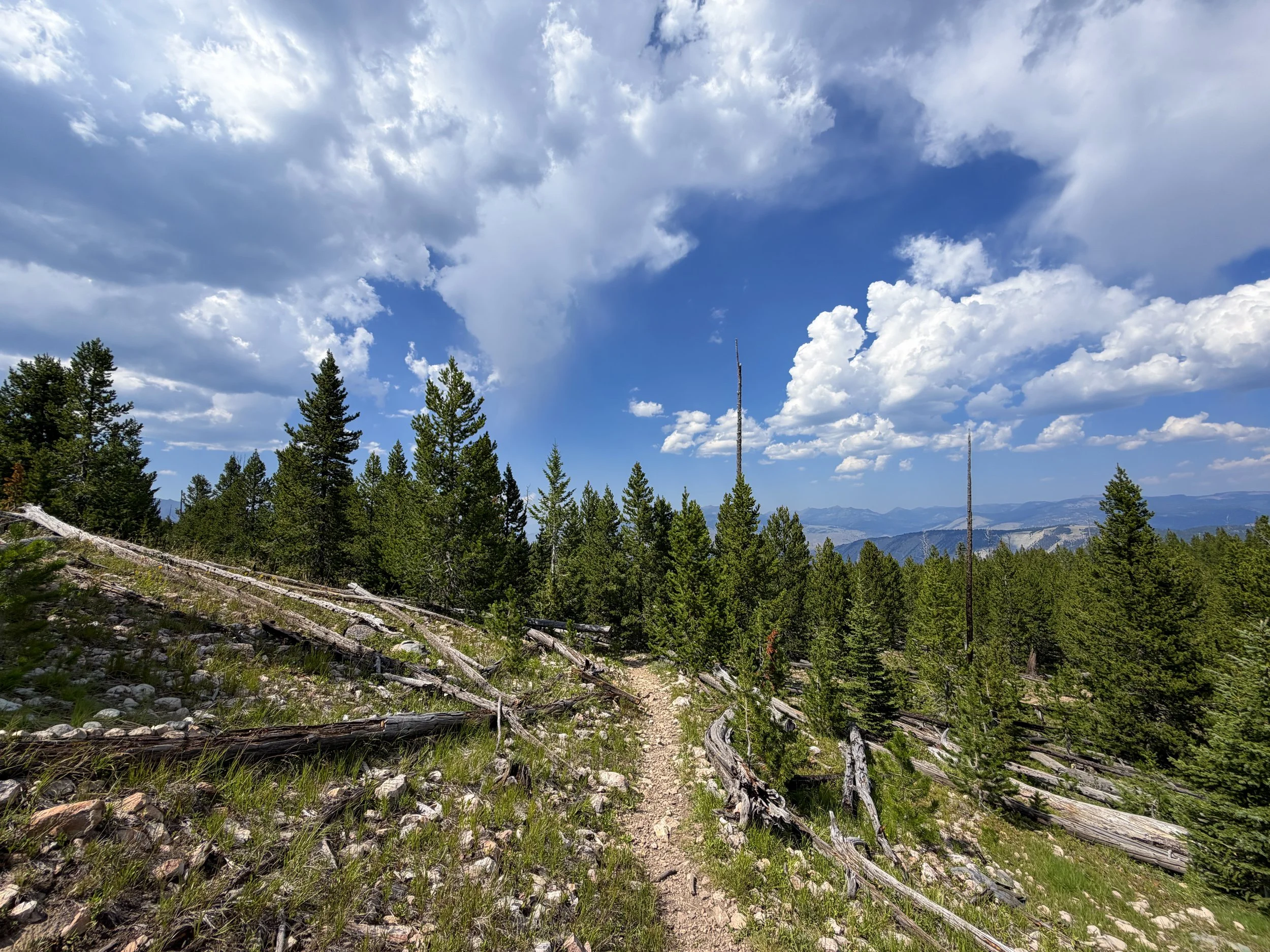 Bunsen Peak Trail Yellowstone National Park Wyoming