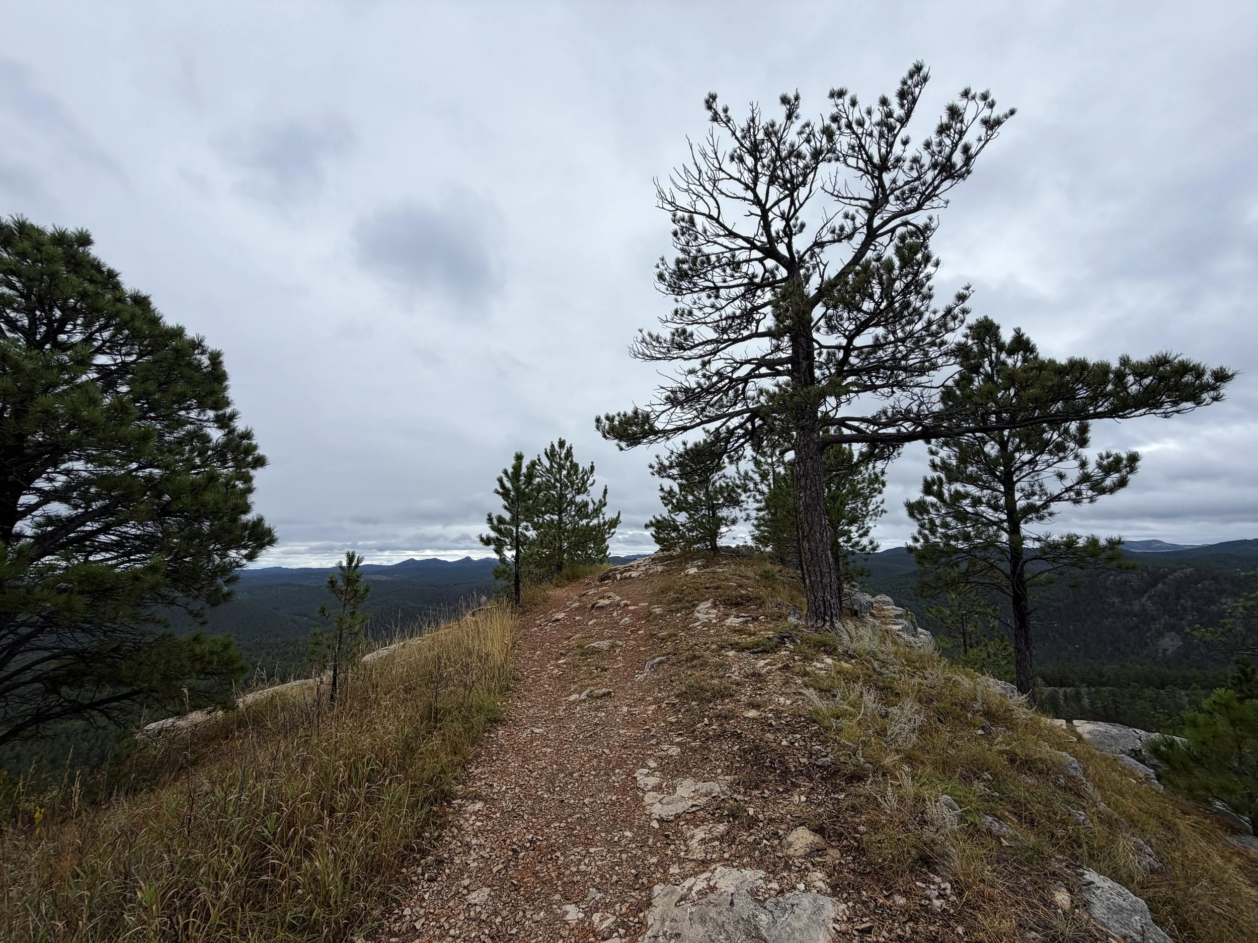Buzzards Roost Trail Black Hills Rapid City South Dakota