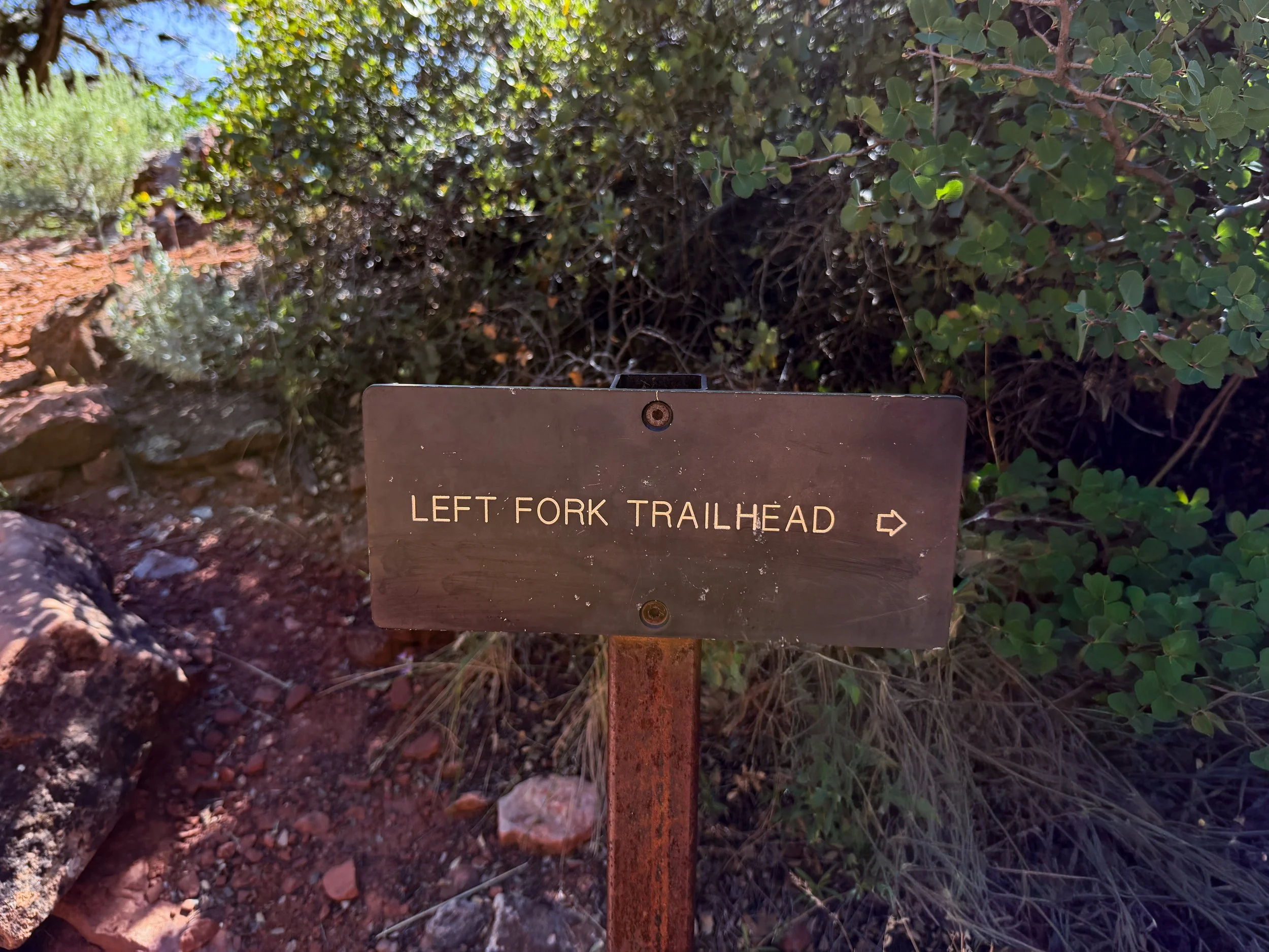 Subway Trail Bottom Up Zion National Park Utah