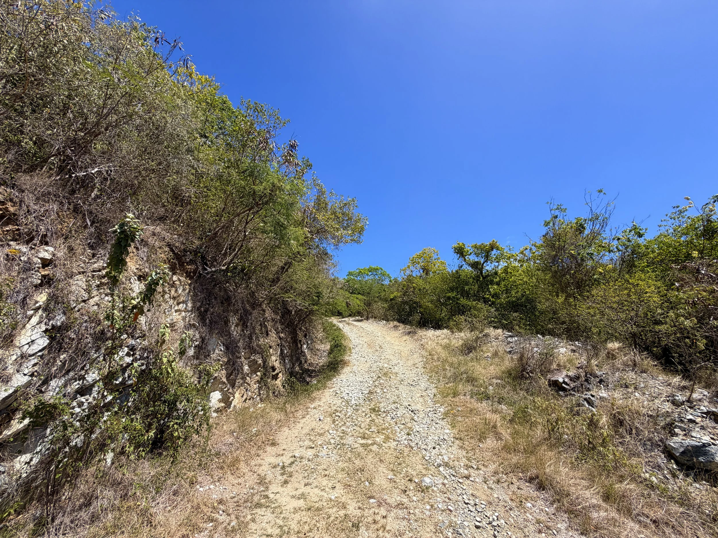 Johnny Horn Trail Virgin Islands National Park
