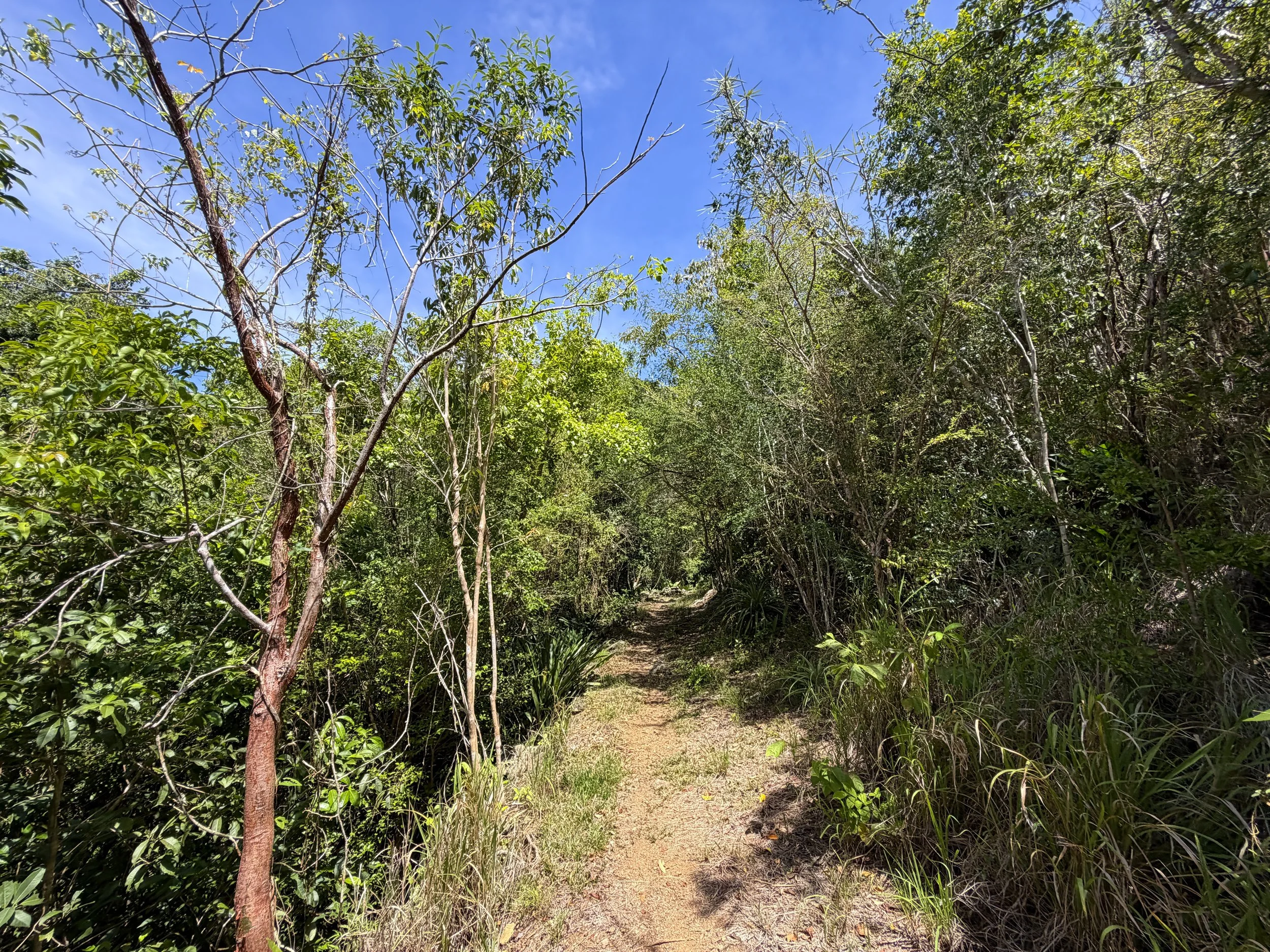 Lameshur Bay Trail Virgin Islands National Park