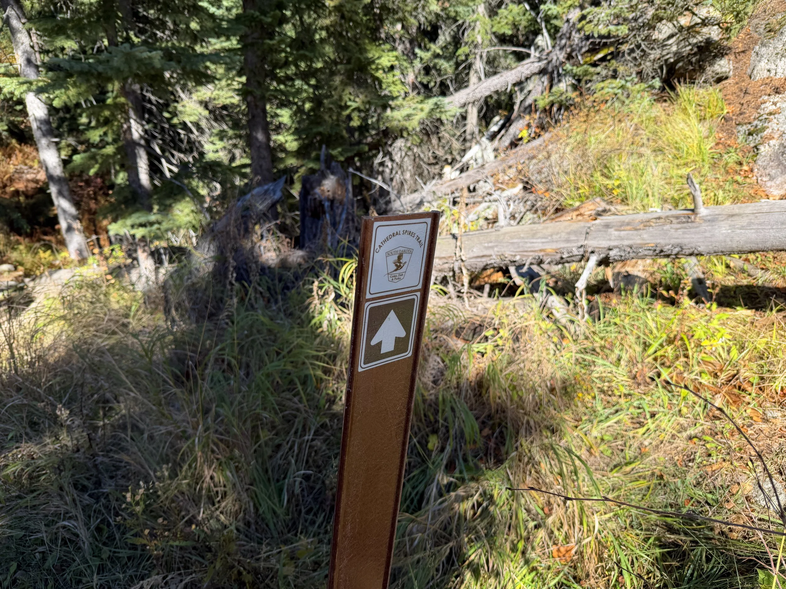 Cathedral Spires Trail Custer State Park Black Hills South Dakota
