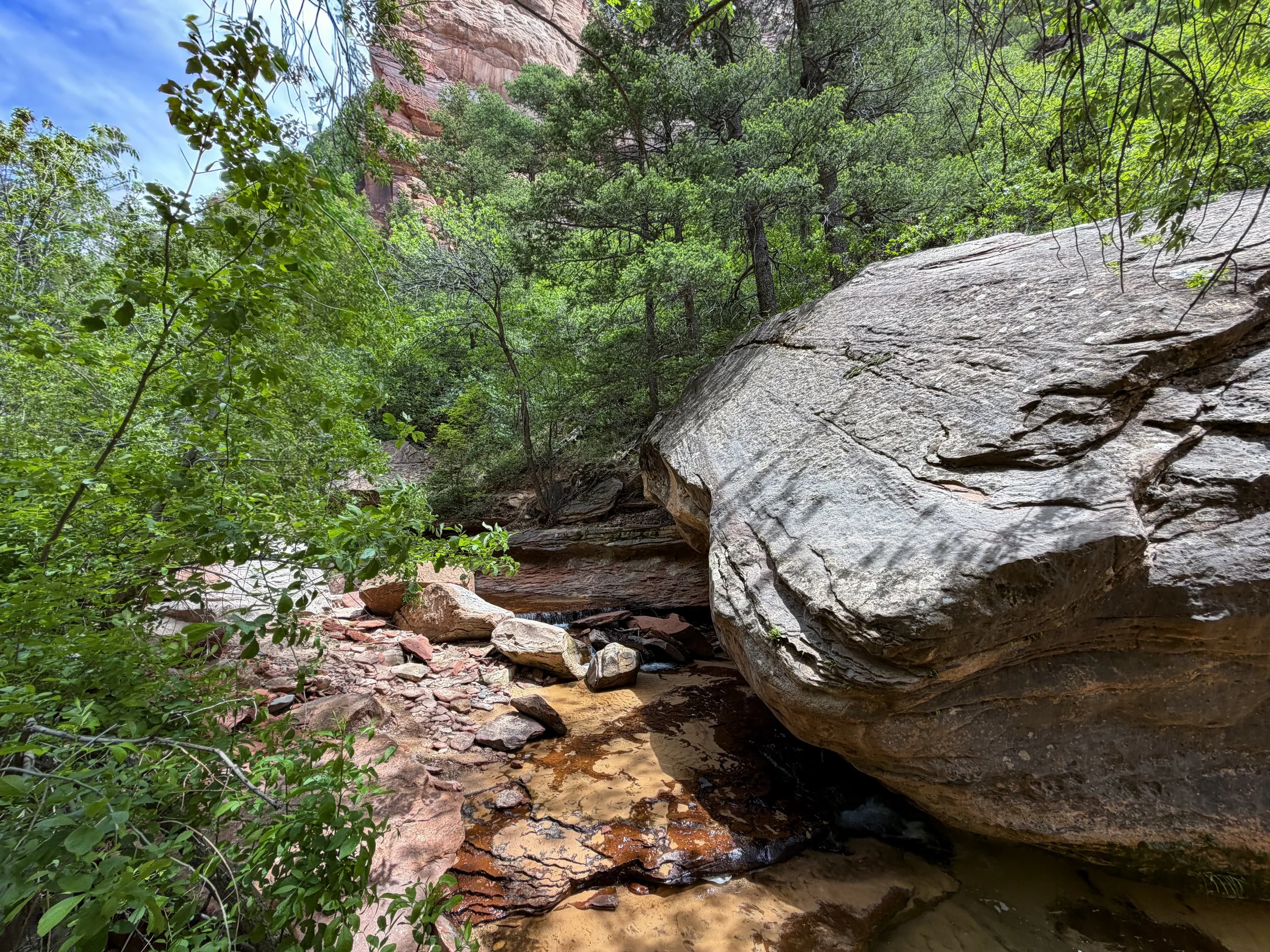 Subway Trail Zion National Park Utah