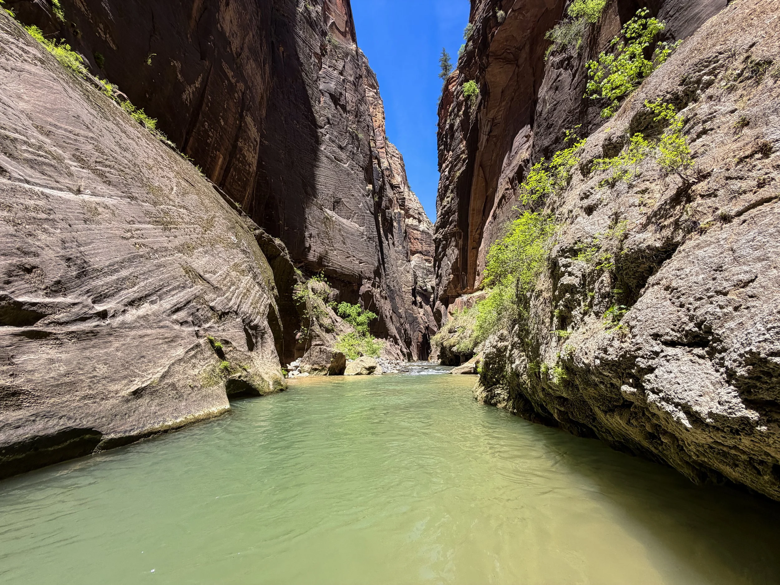 Deep Spot Wall Street Narrows Hike Zion National Park Utah
