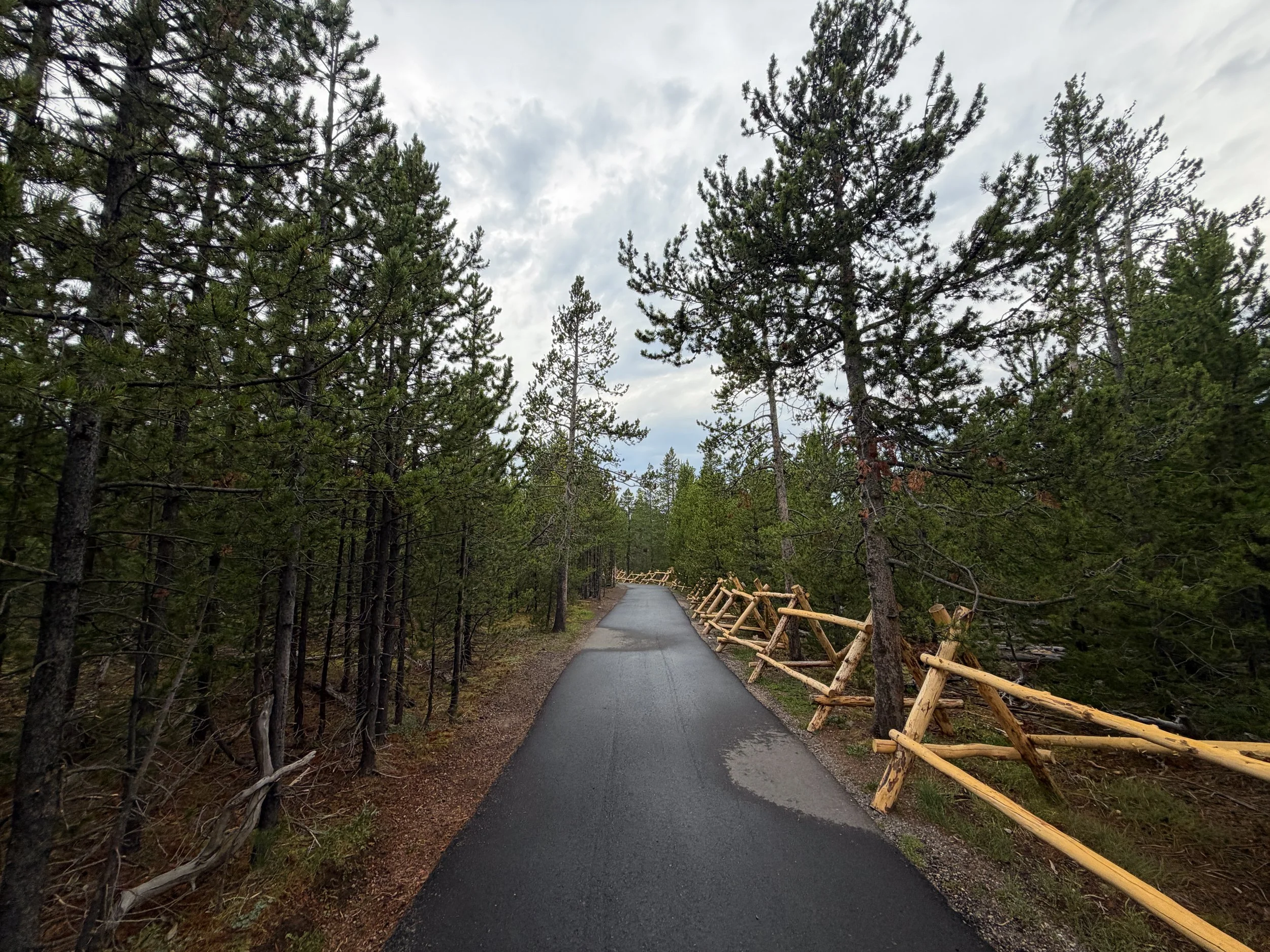 Norris Geyser Basin Trail Yellowstone National Park Wyoming
