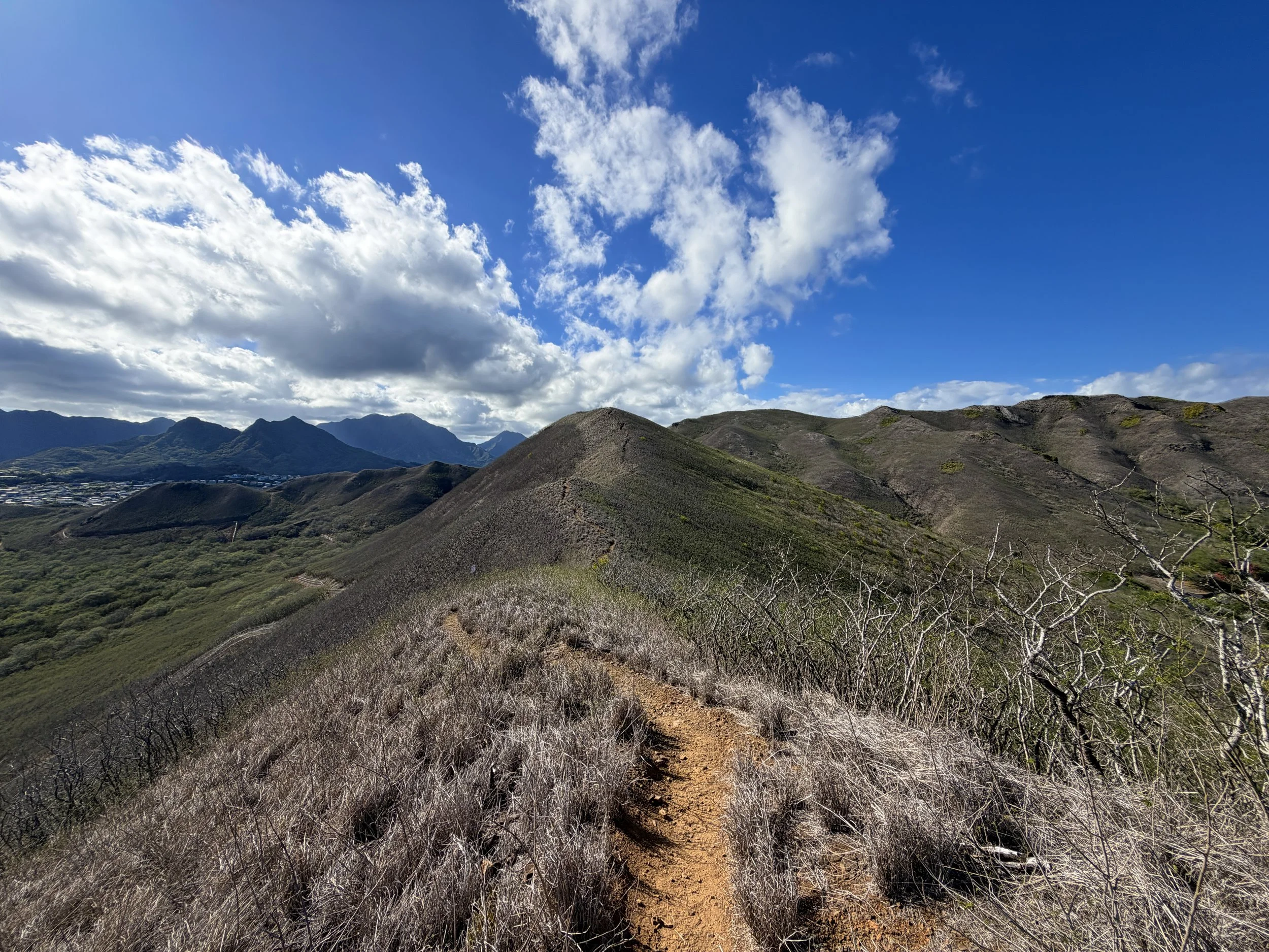 Back Way Kaiwa Ridge Trail Oahu Hawaii